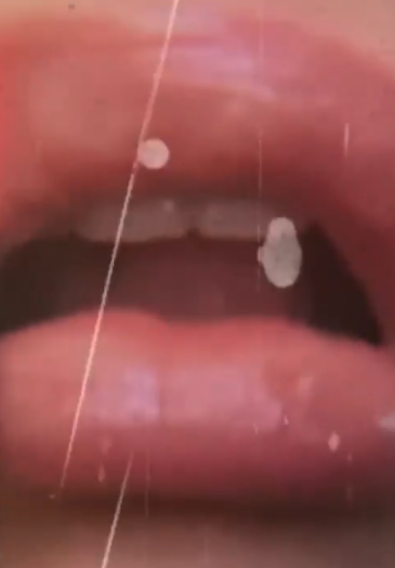 Great best body Babes 44