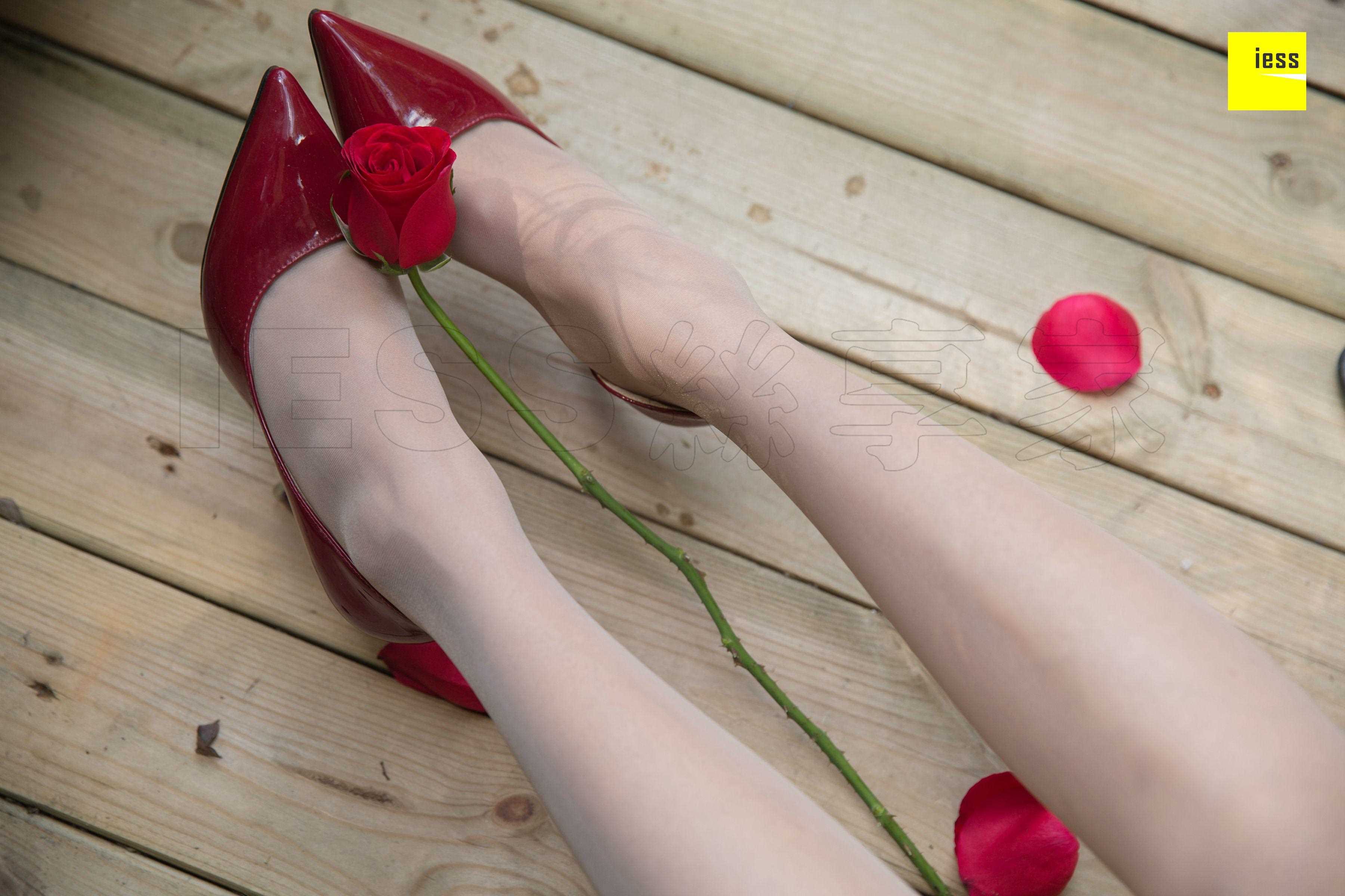 China Beauty Legs and feet 461