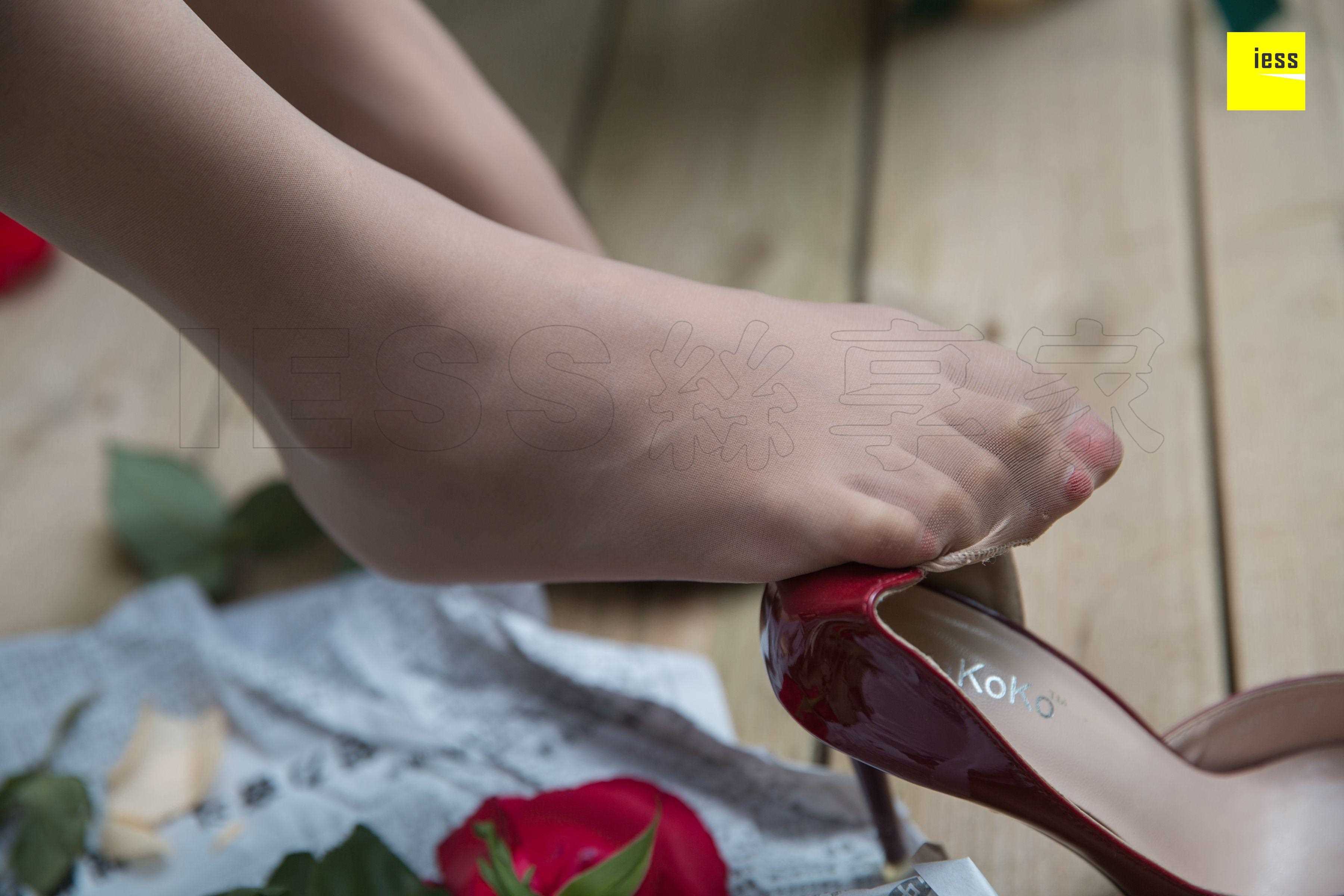 China Beauty Legs and feet 461