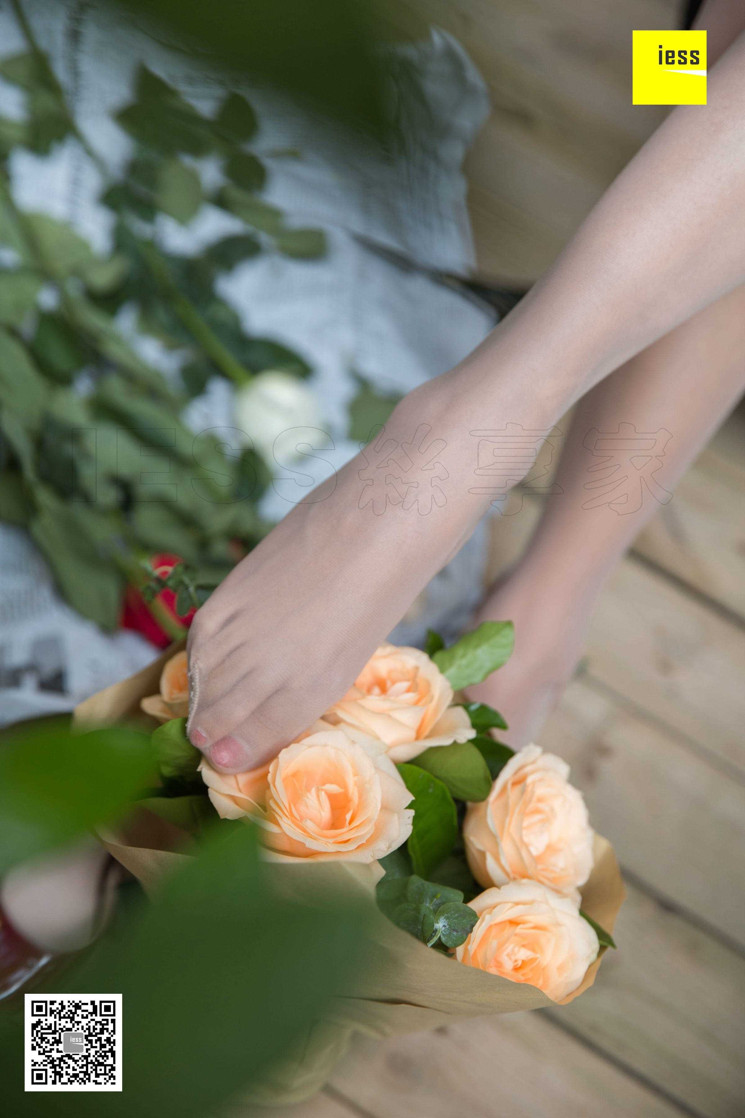 China Beauty Legs and feet 461