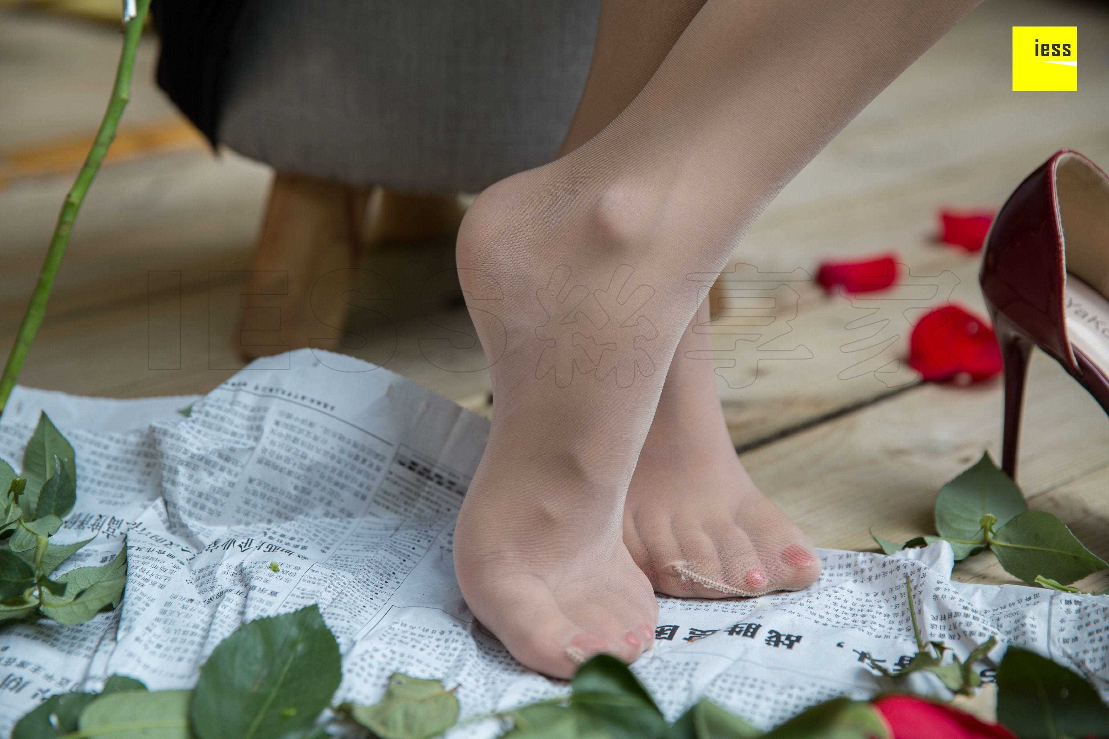 China Beauty Legs and feet 461