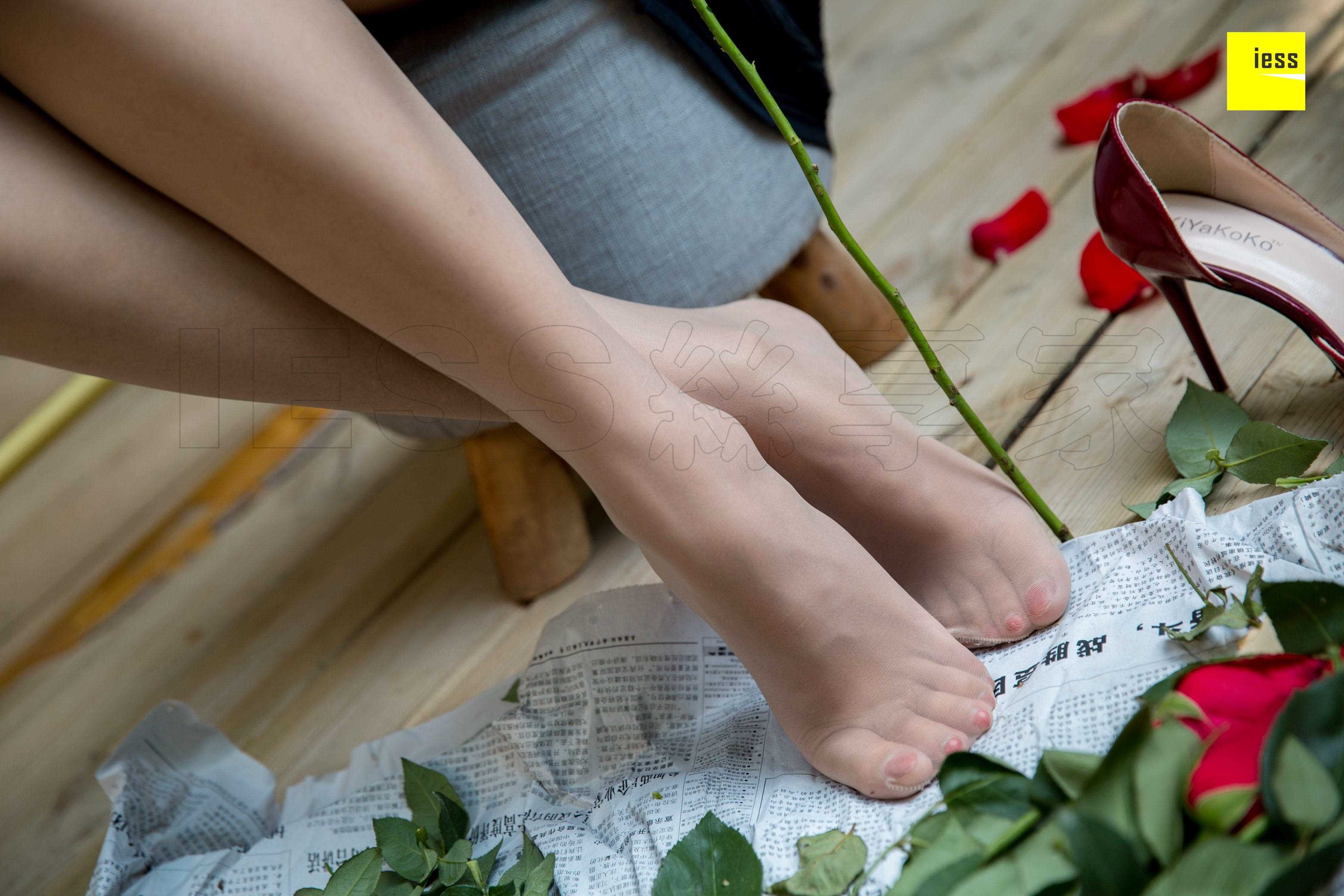 China Beauty Legs and feet 461