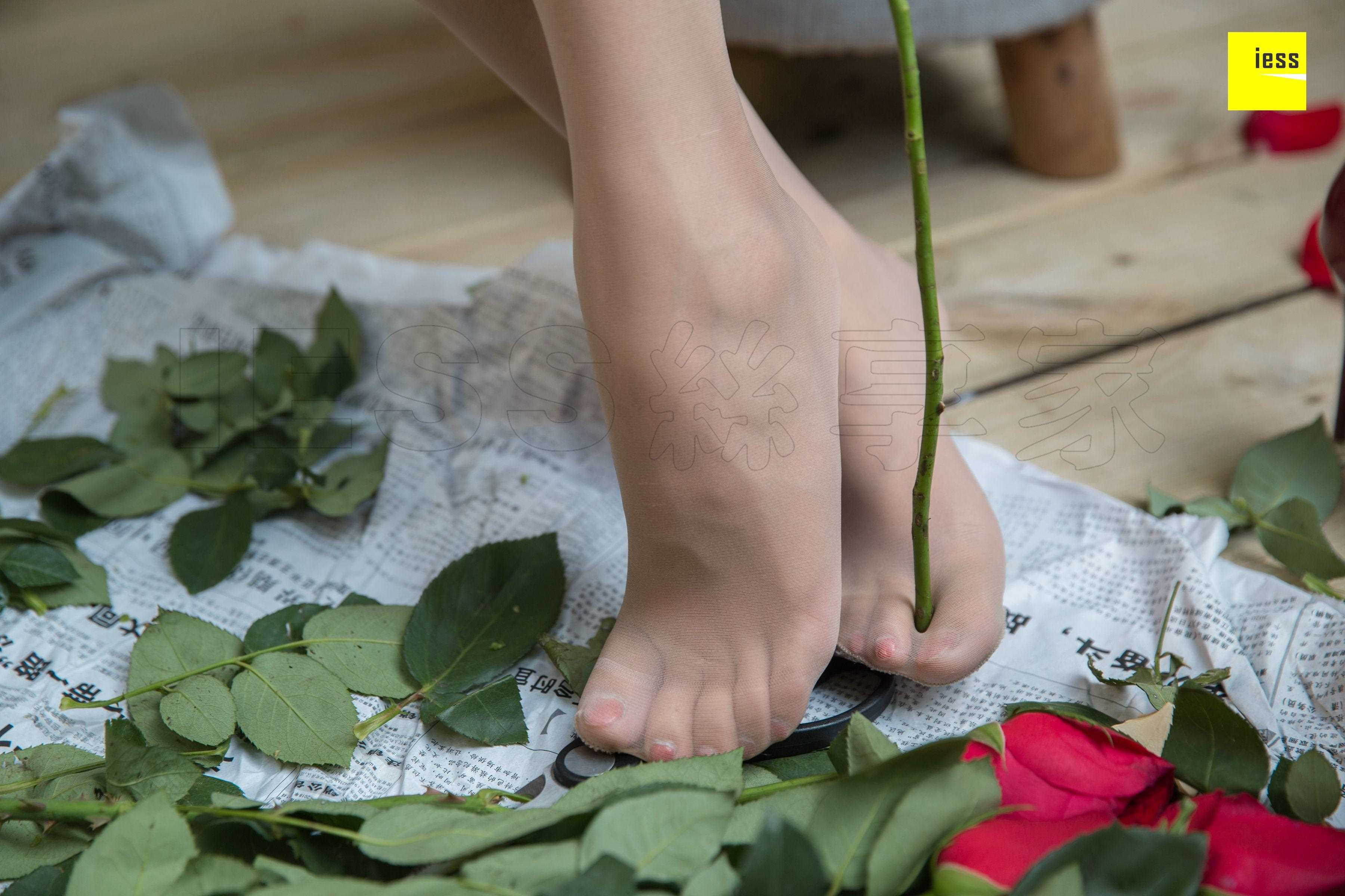 China Beauty Legs and feet 461