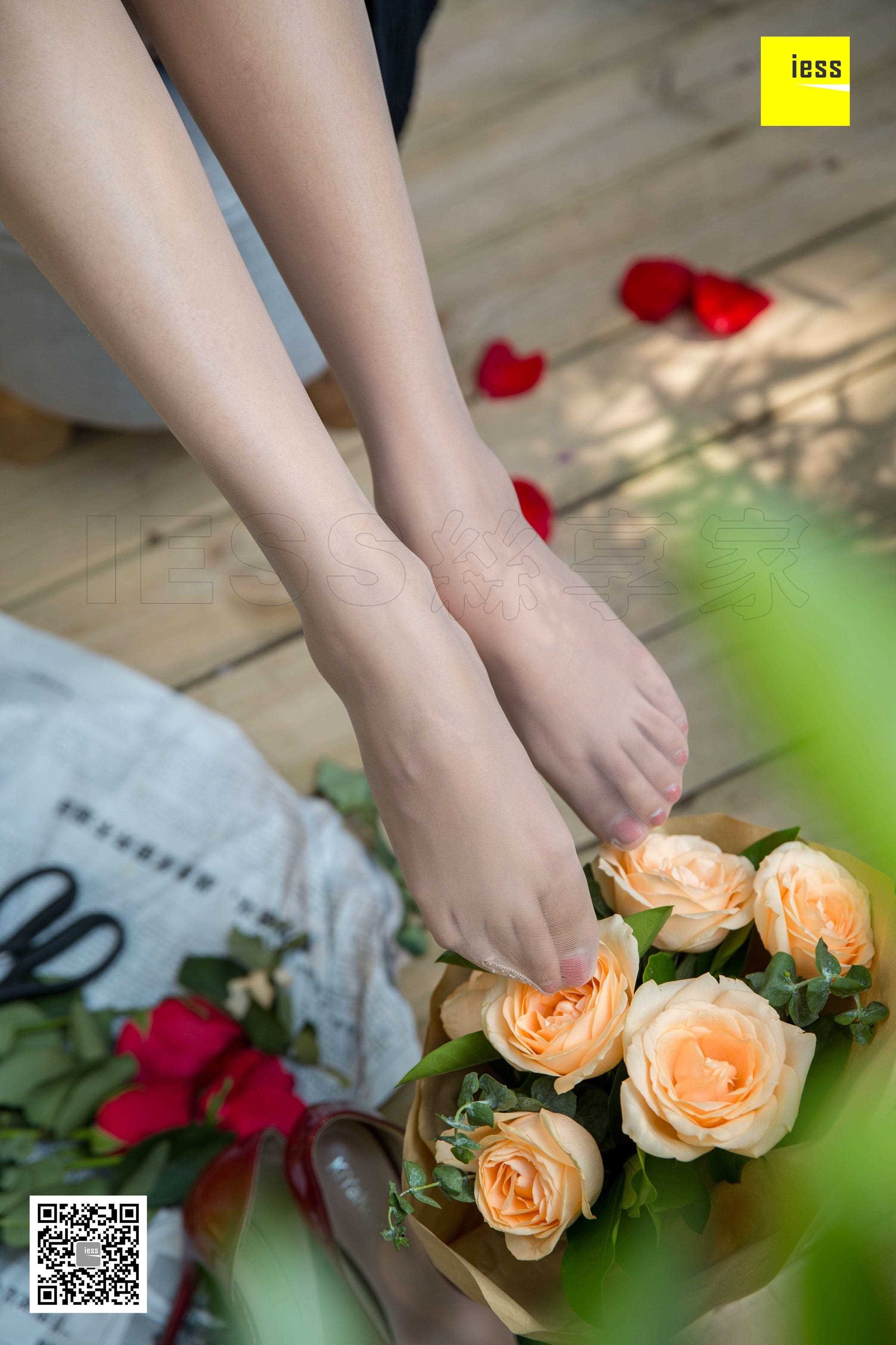 China Beauty Legs and feet 461