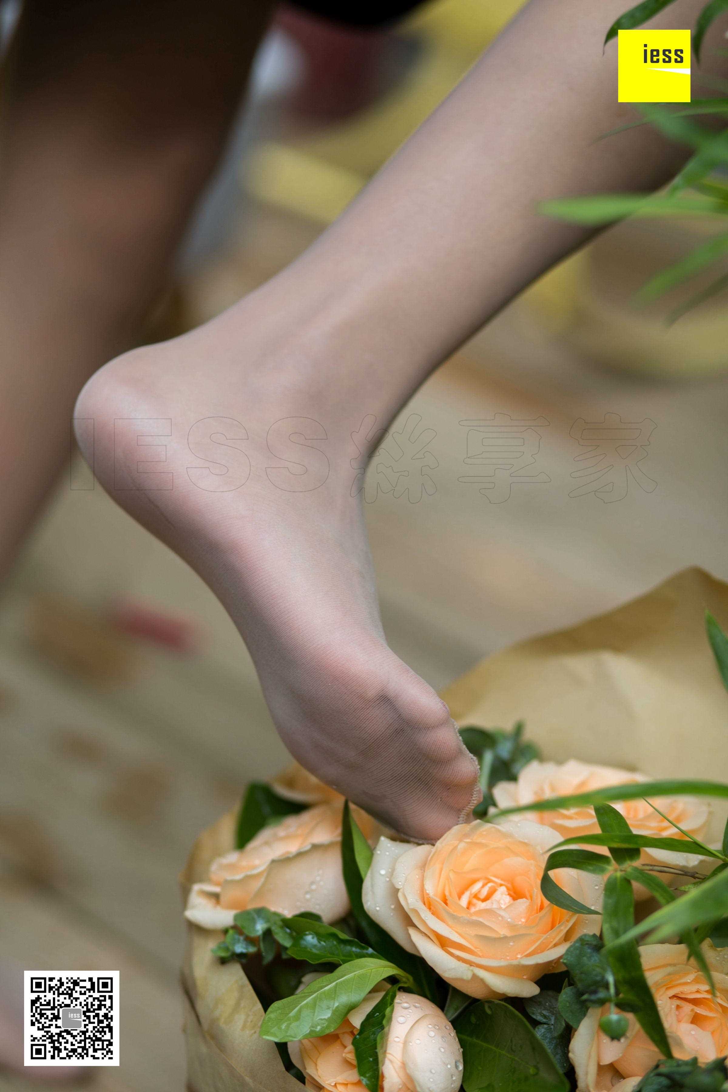 China Beauty Legs and feet 461