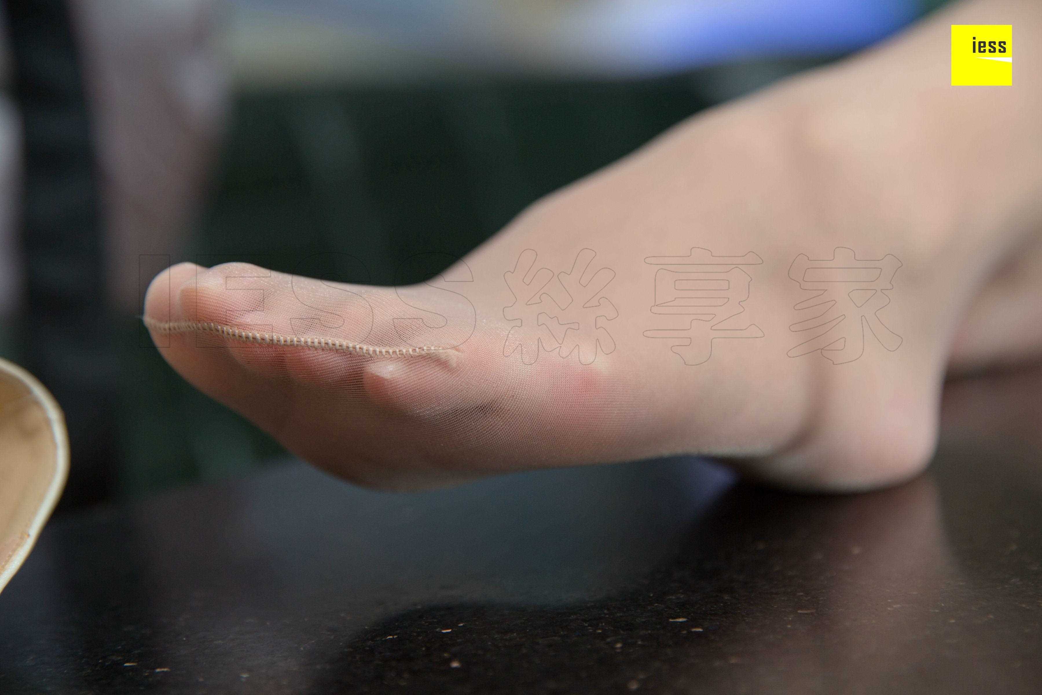 China Beauty Legs and feet 462