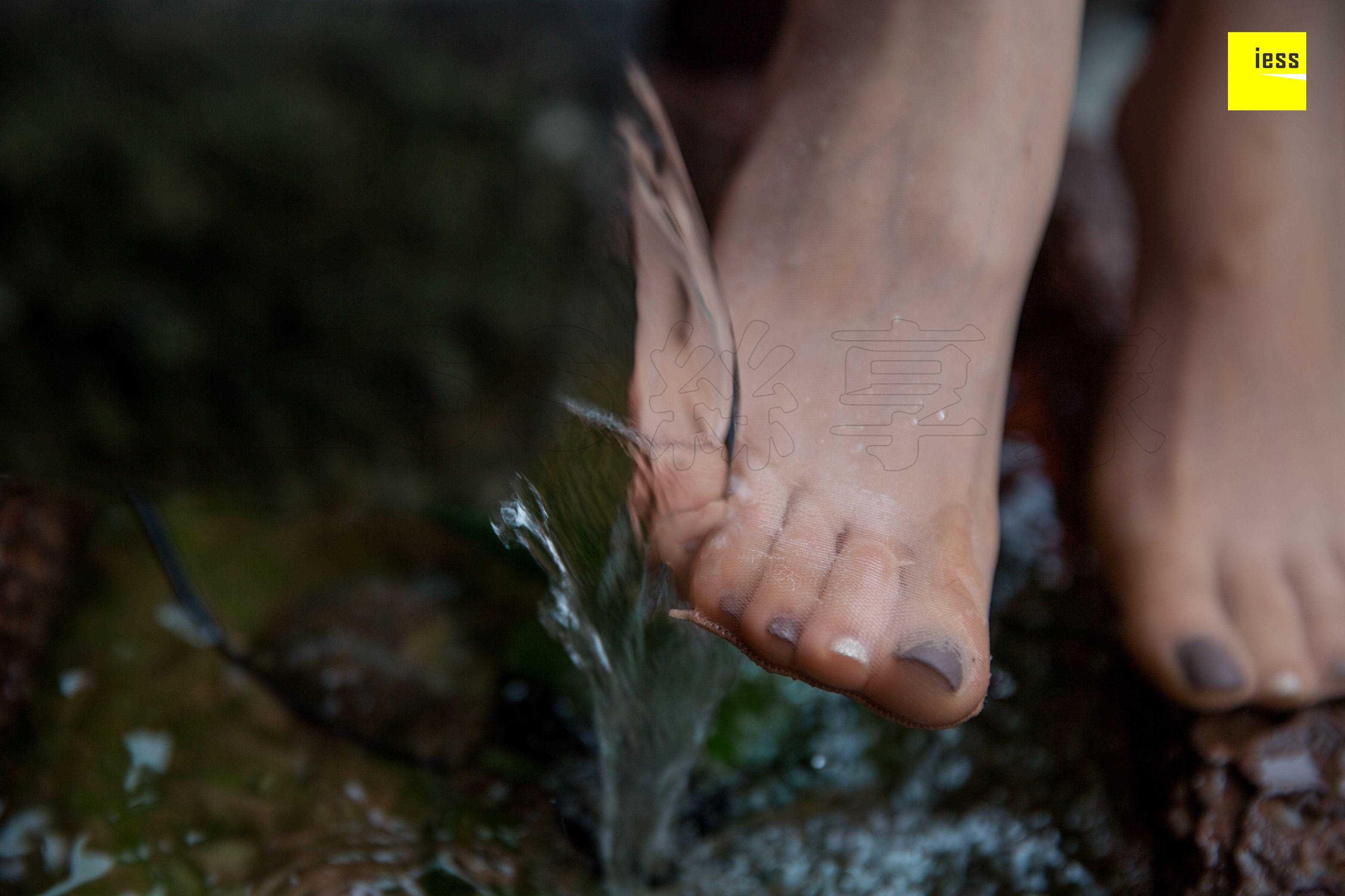 China Beauty Legs and feet 471-2