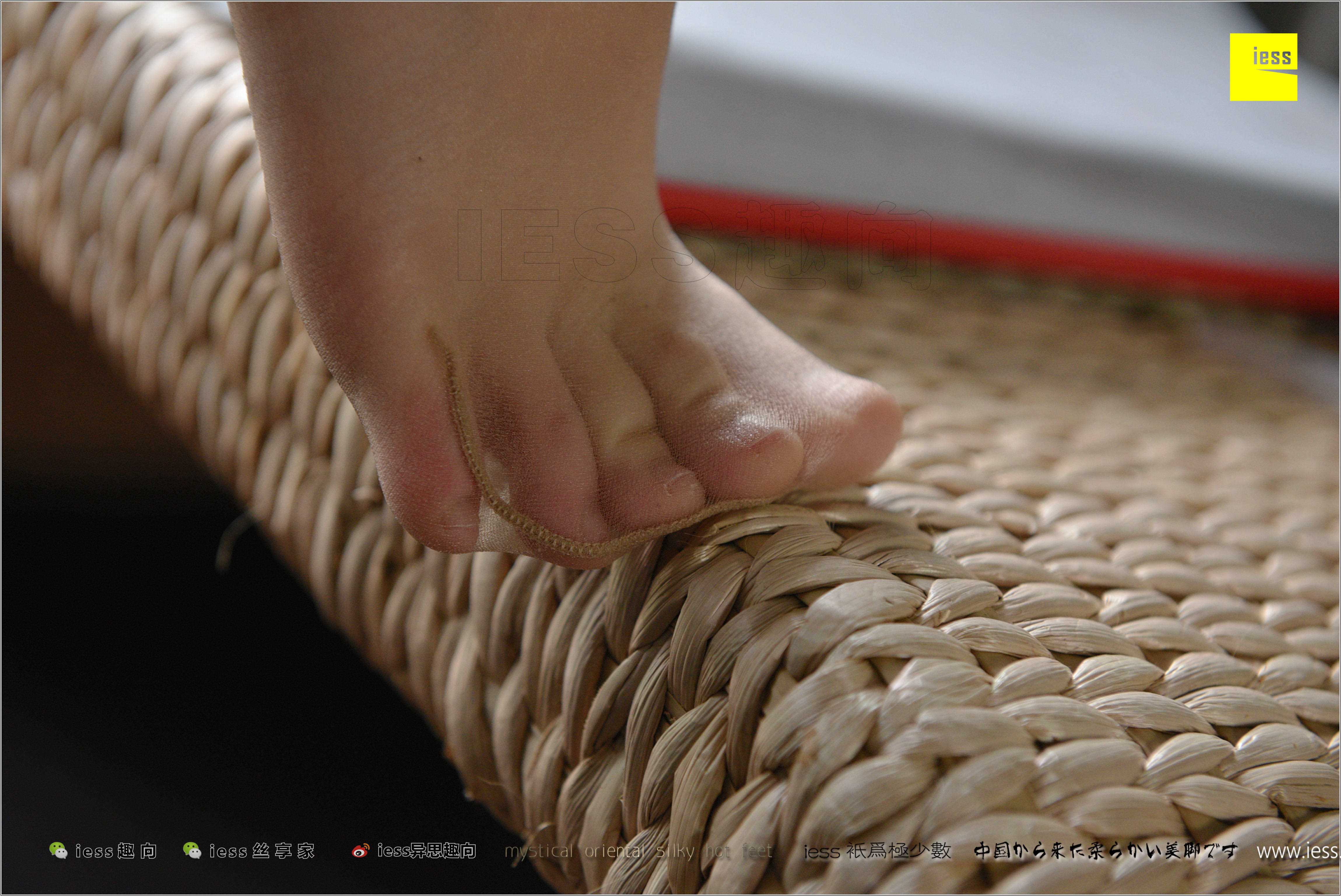 China Beauty Legs and feet 480