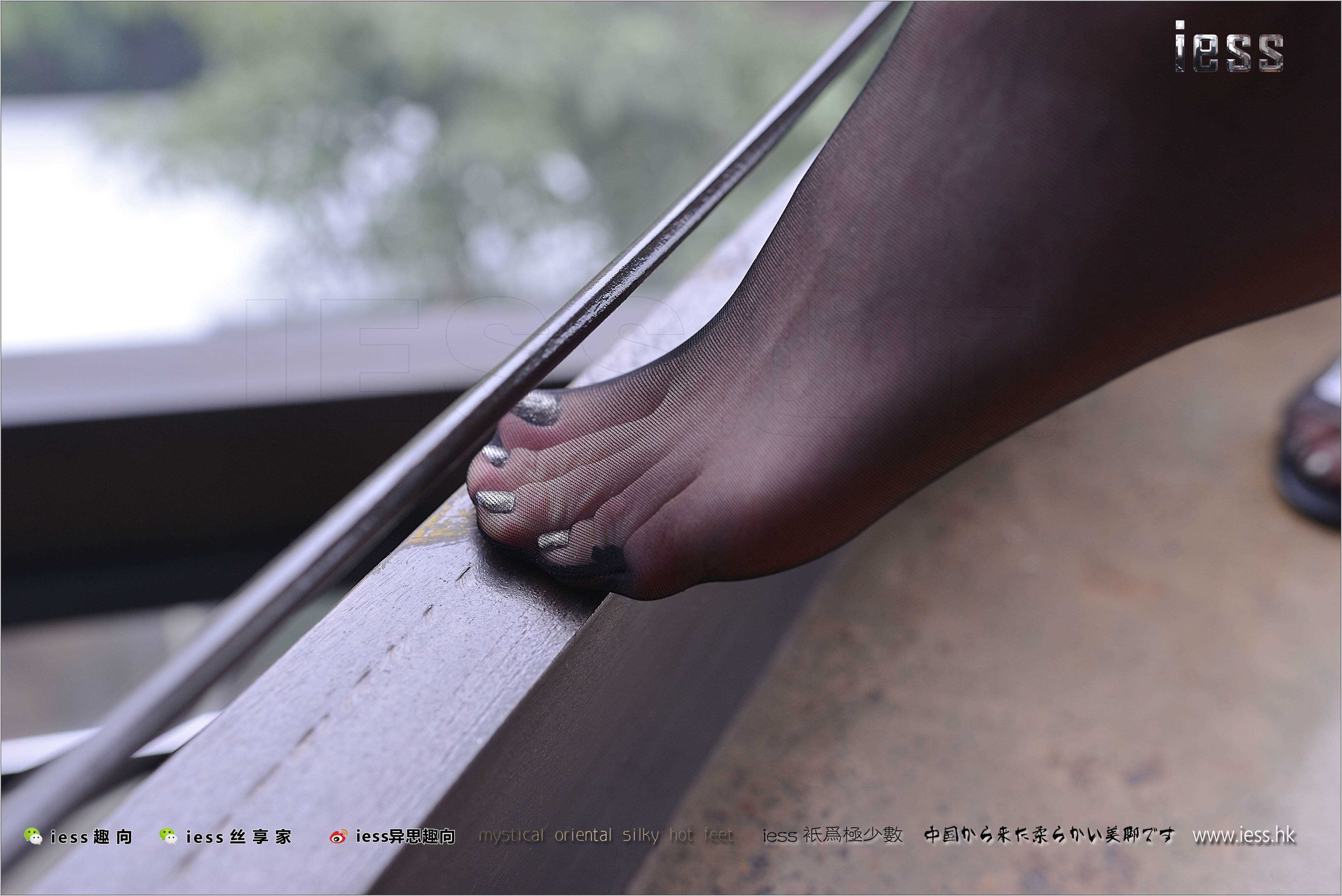 China Beauty Legs and feet 481