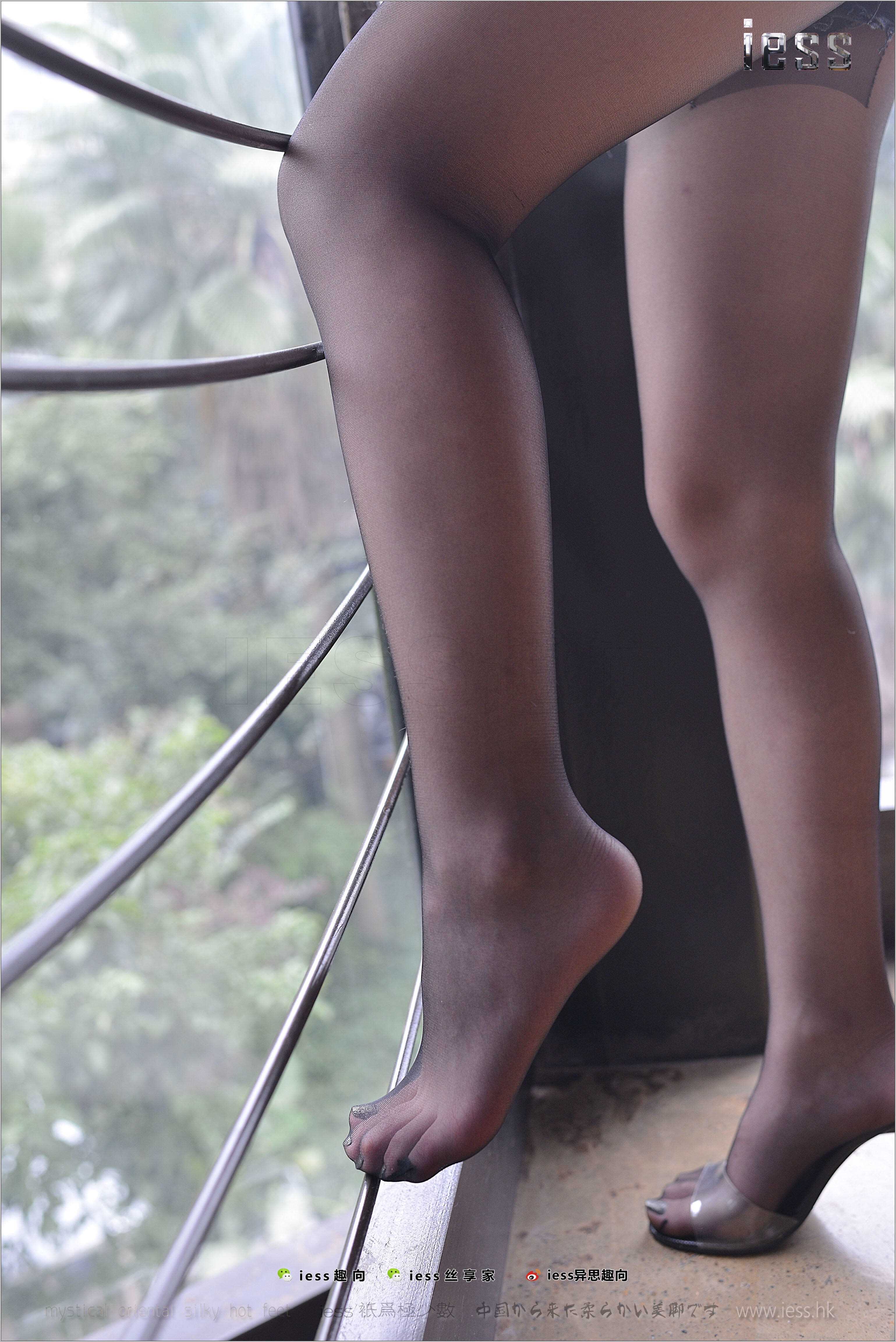 China Beauty Legs and feet 481