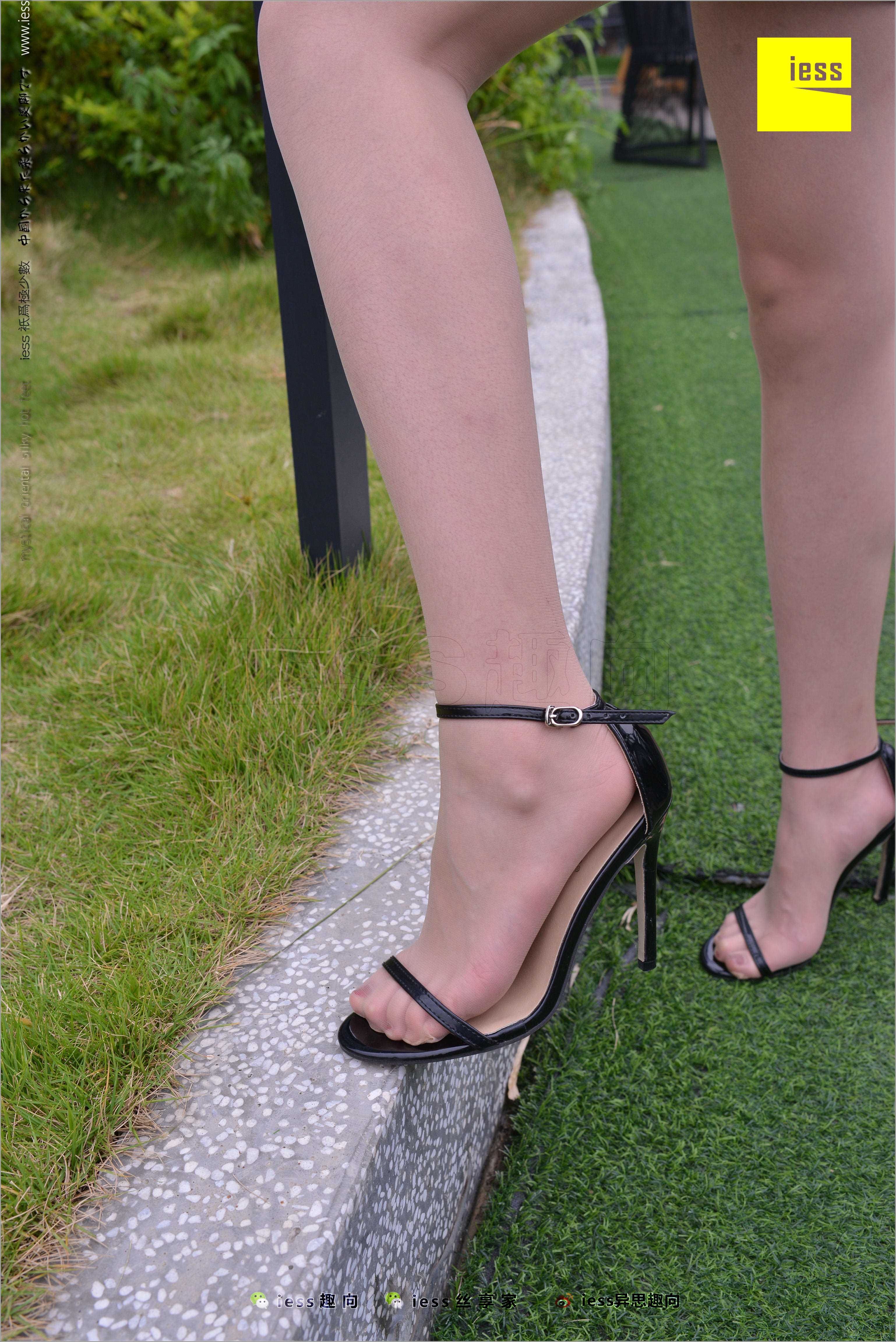 China Beauty Legs and feet 482