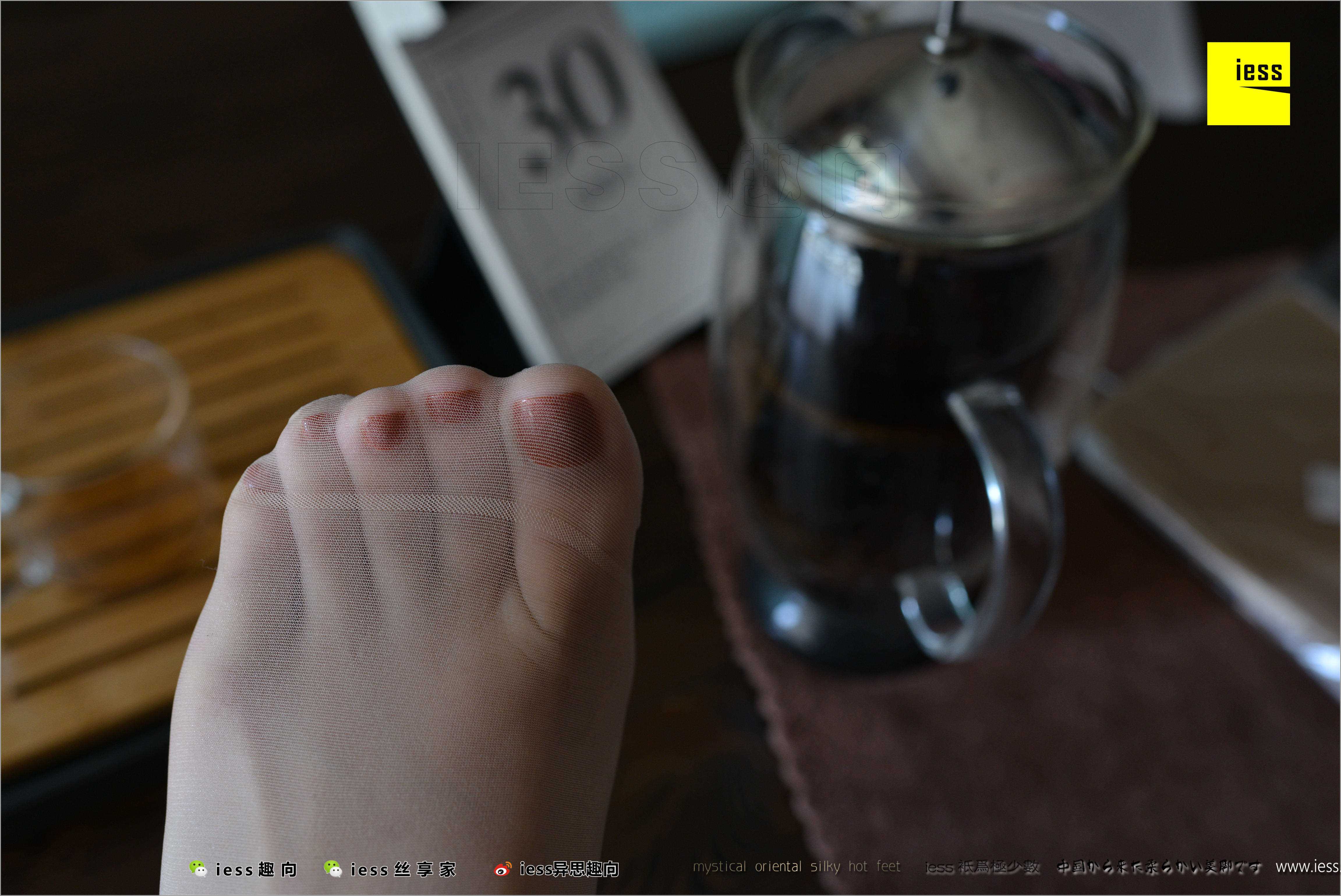 China Beauty Legs and feet 484