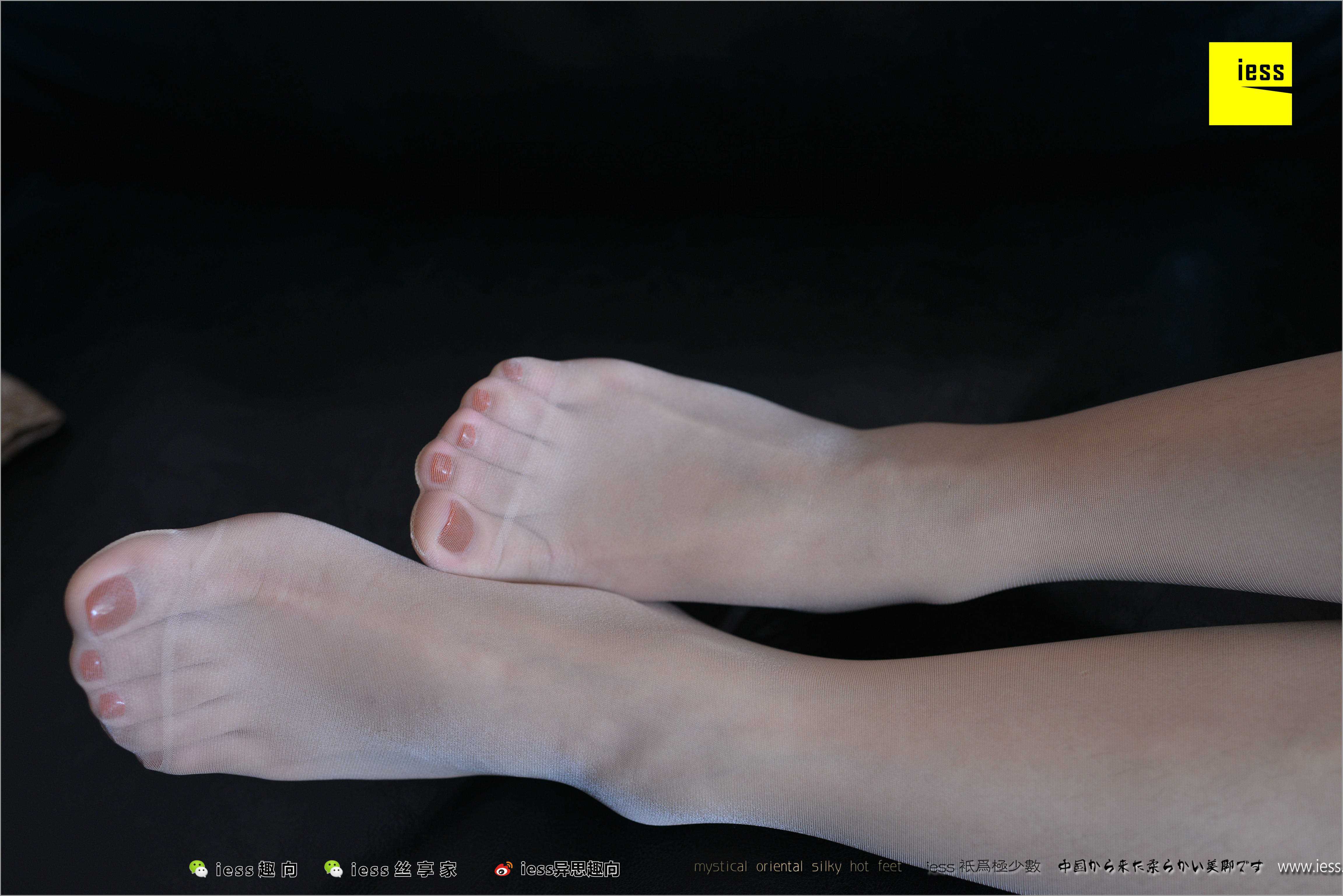 China Beauty Legs and feet 484