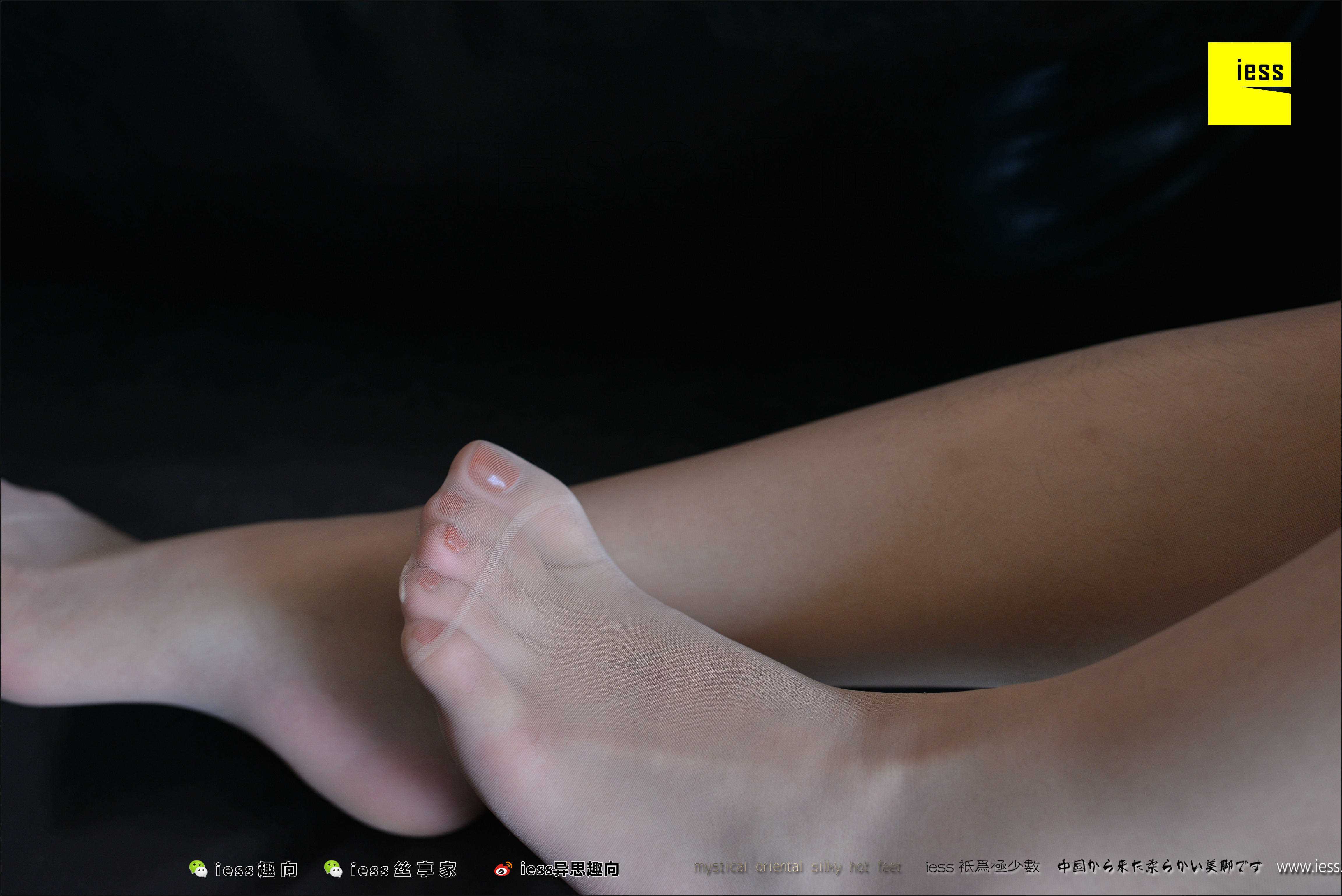 China Beauty Legs and feet 484