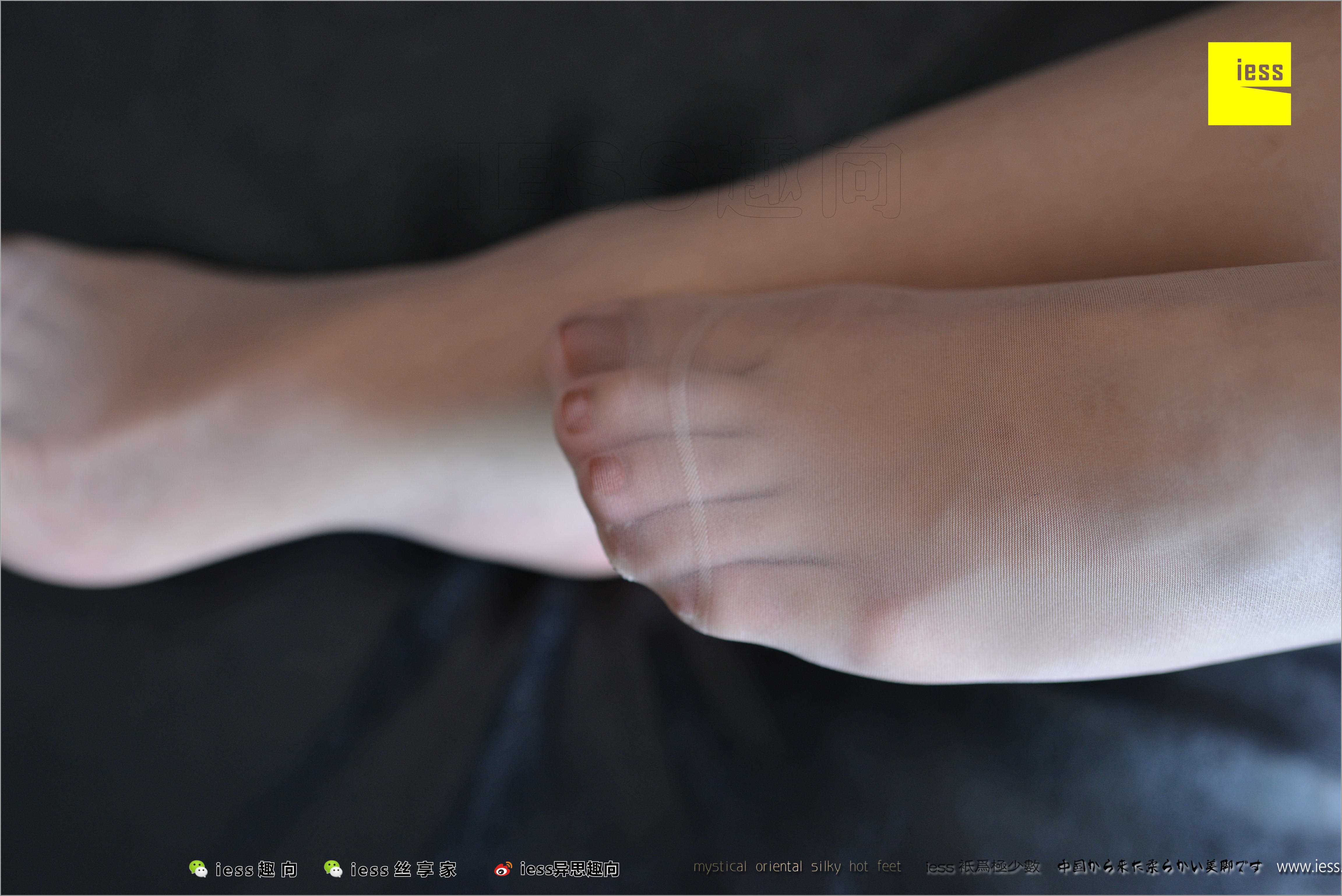 China Beauty Legs and feet 484