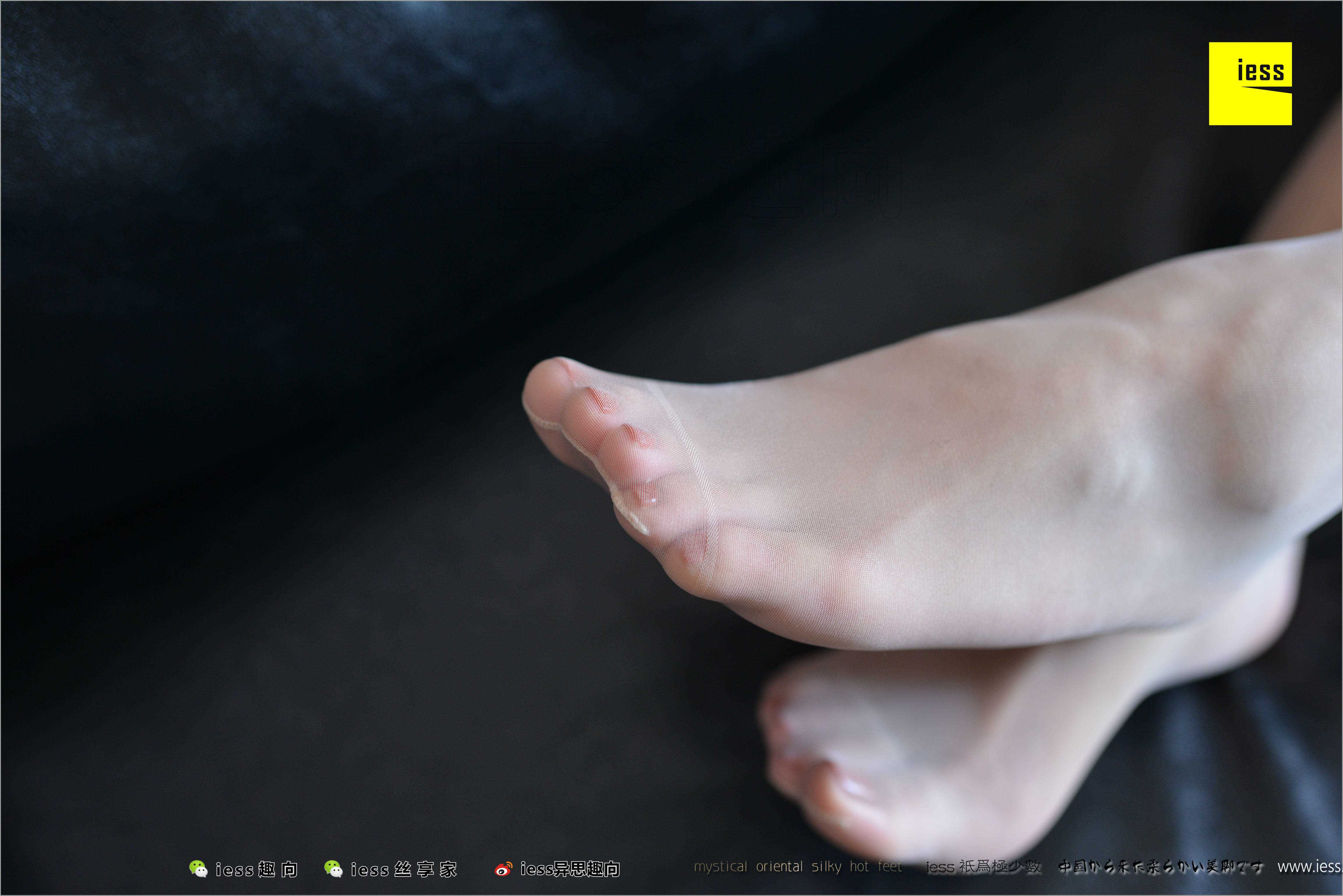 China Beauty Legs and feet 484