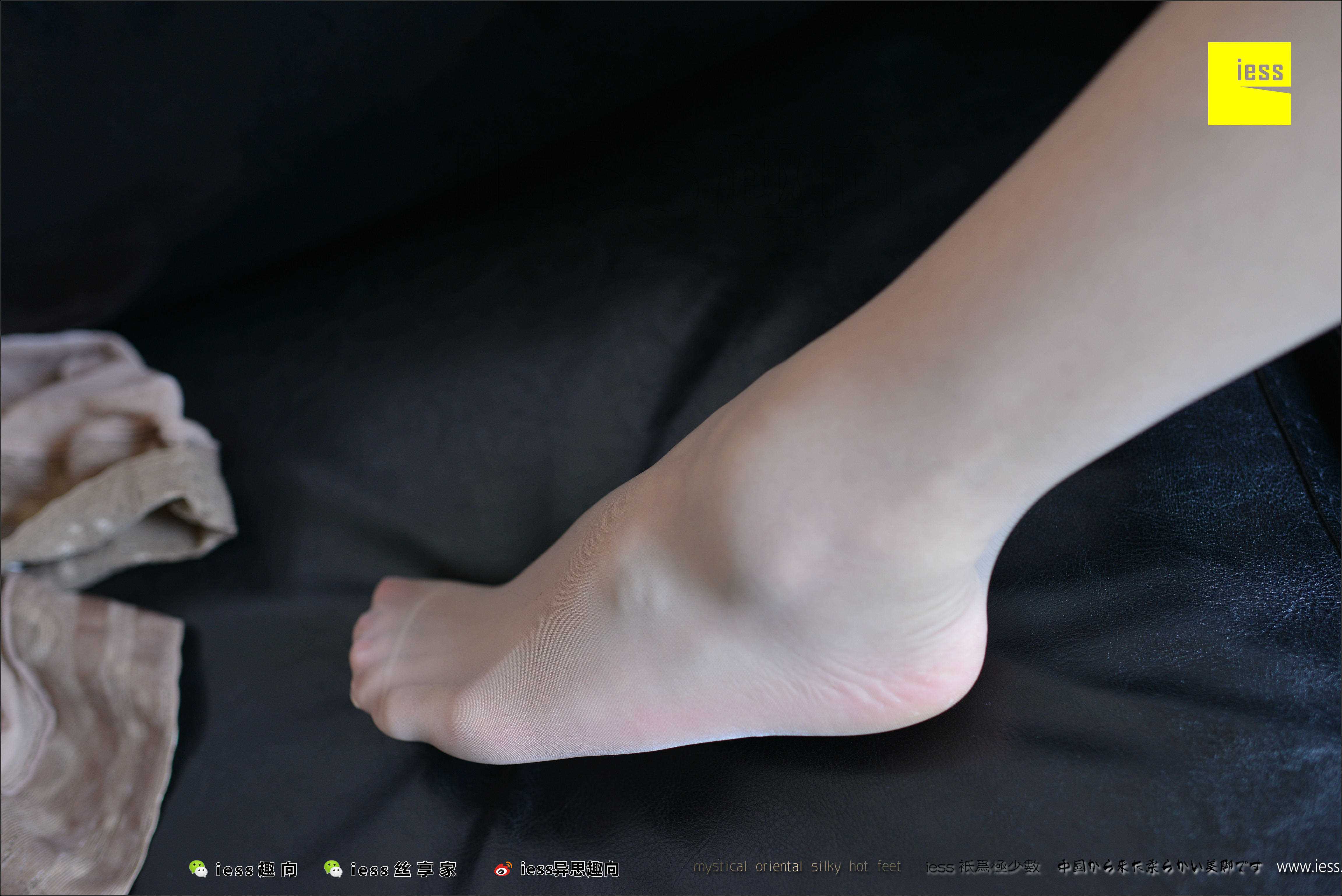 China Beauty Legs and feet 484