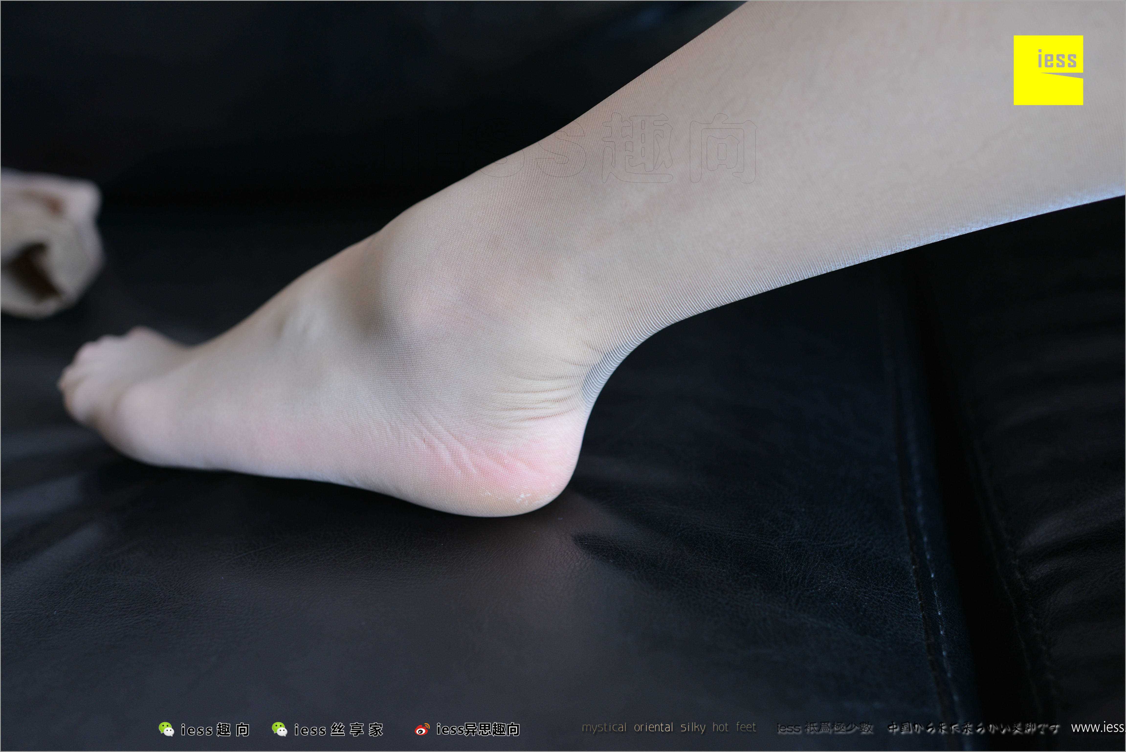 China Beauty Legs and feet 484