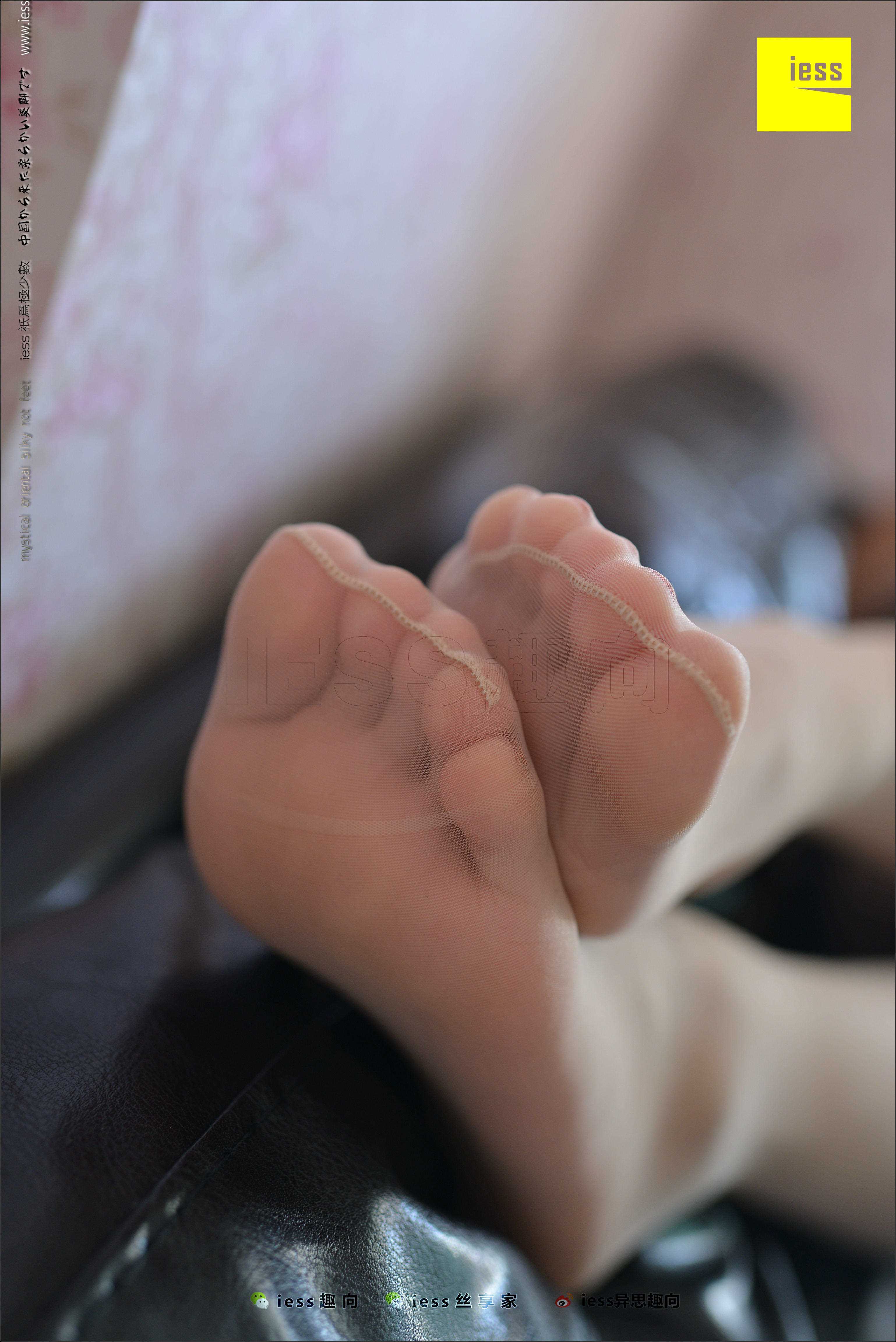 China Beauty Legs and feet 484