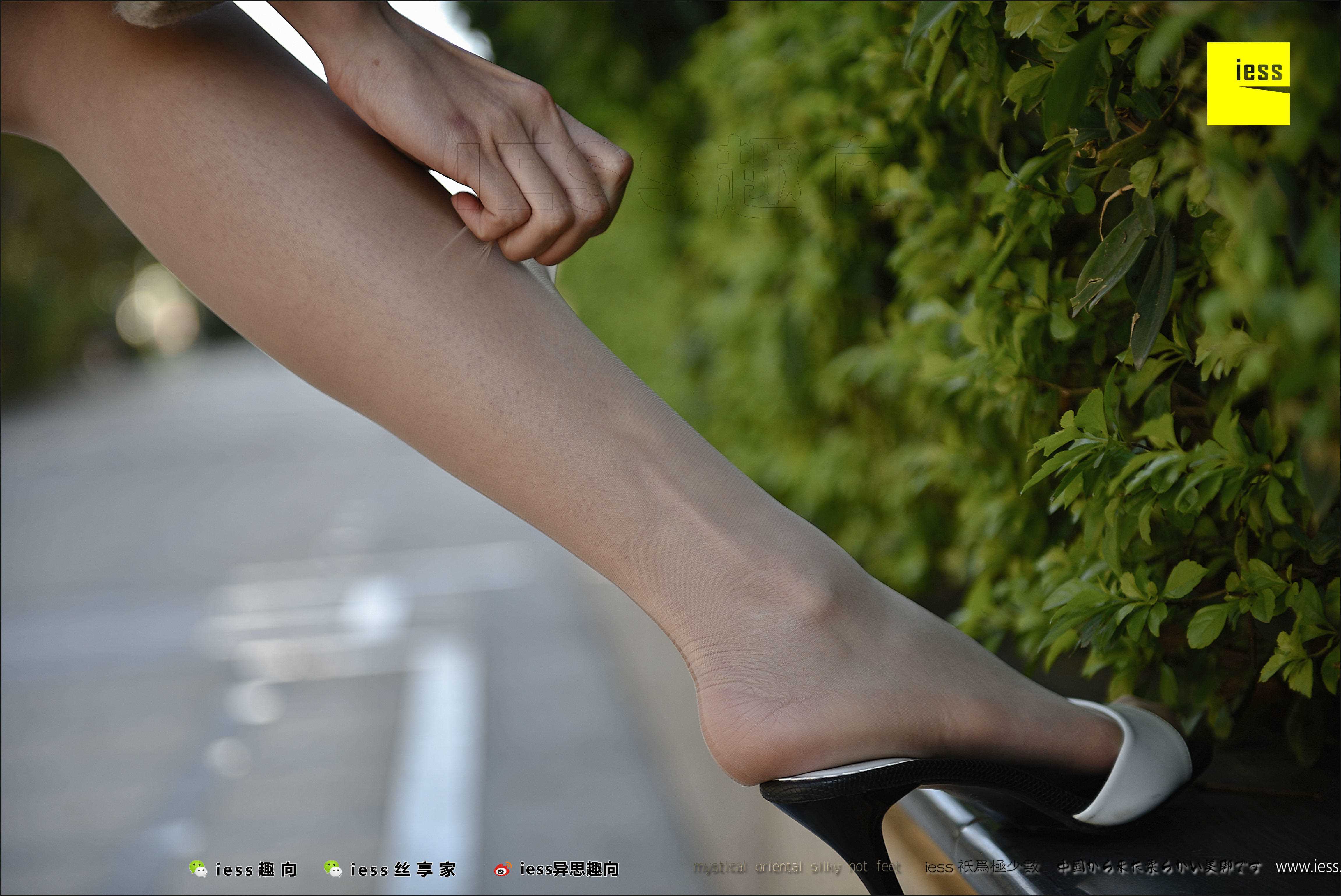 China Beauty Legs and feet 485