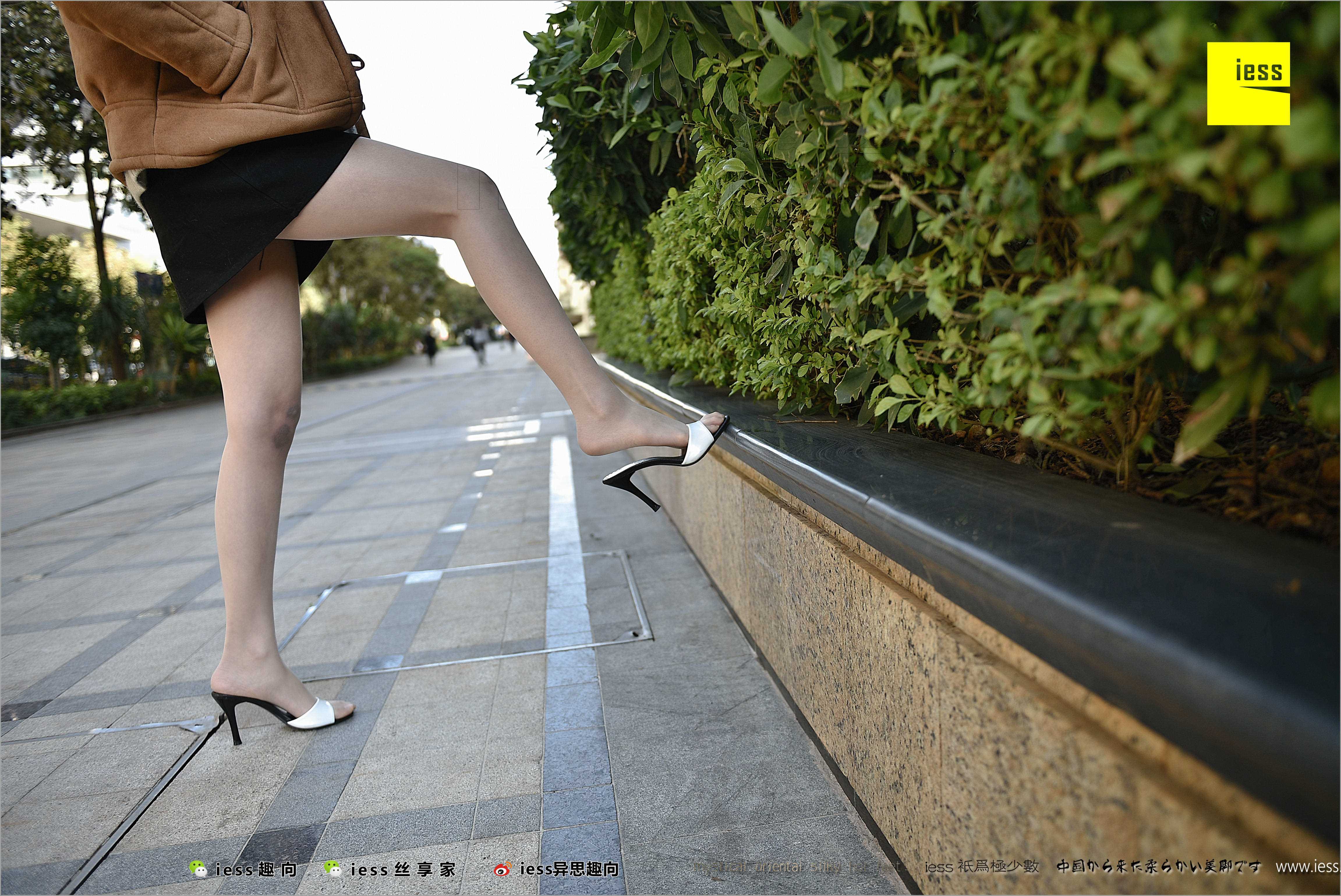 China Beauty Legs and feet 485