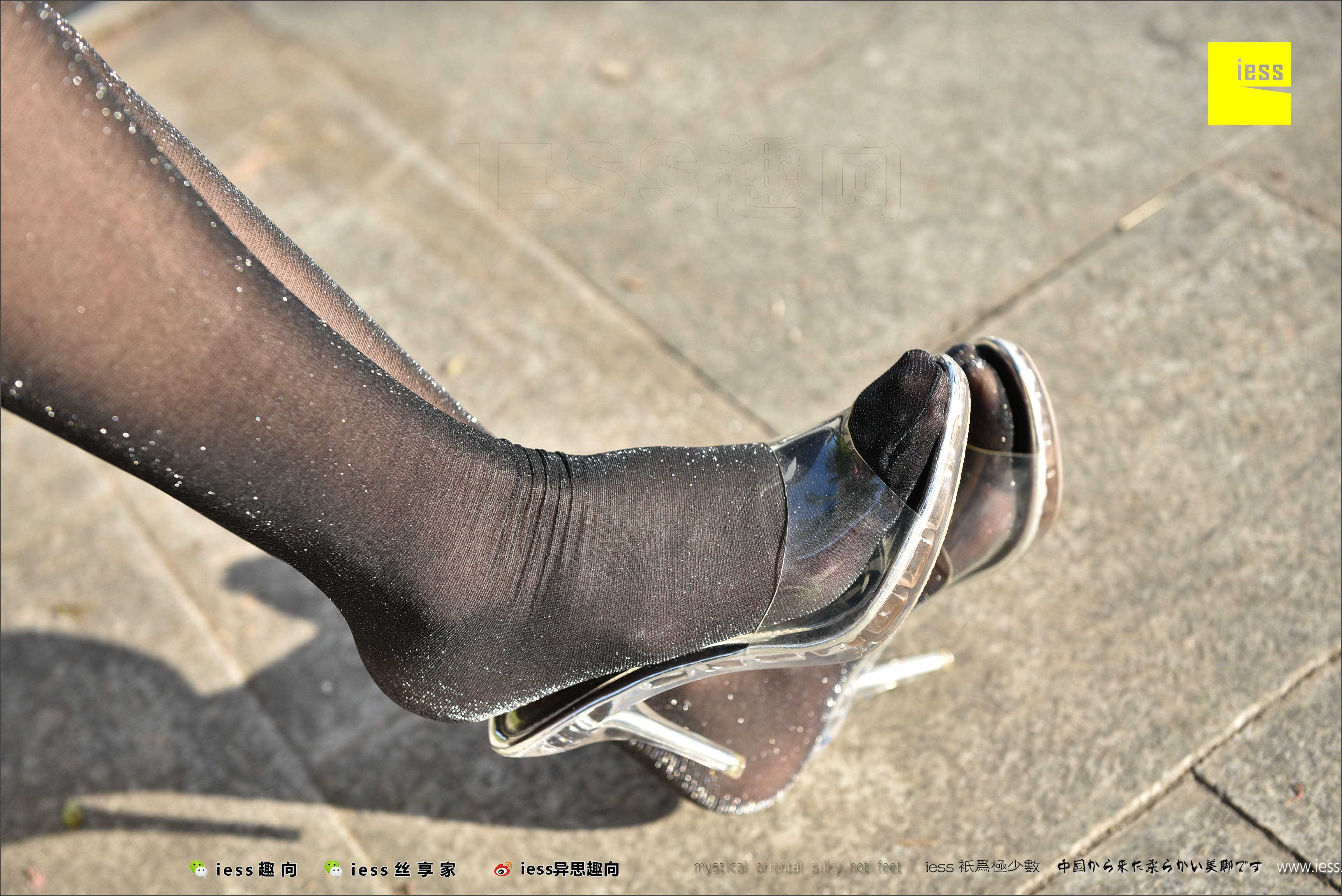 China Beauty Legs and feet 485