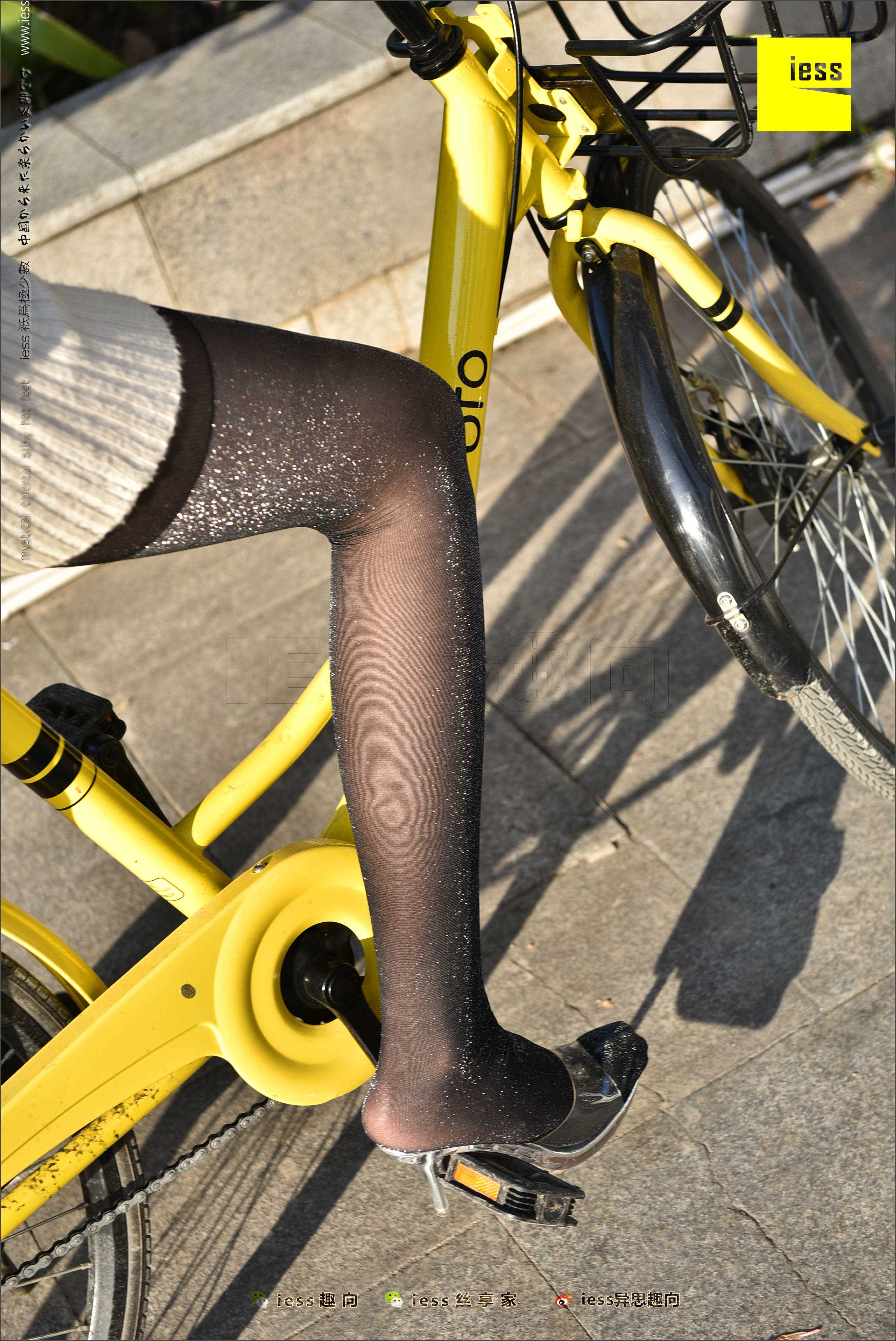 China Beauty Legs and feet 485