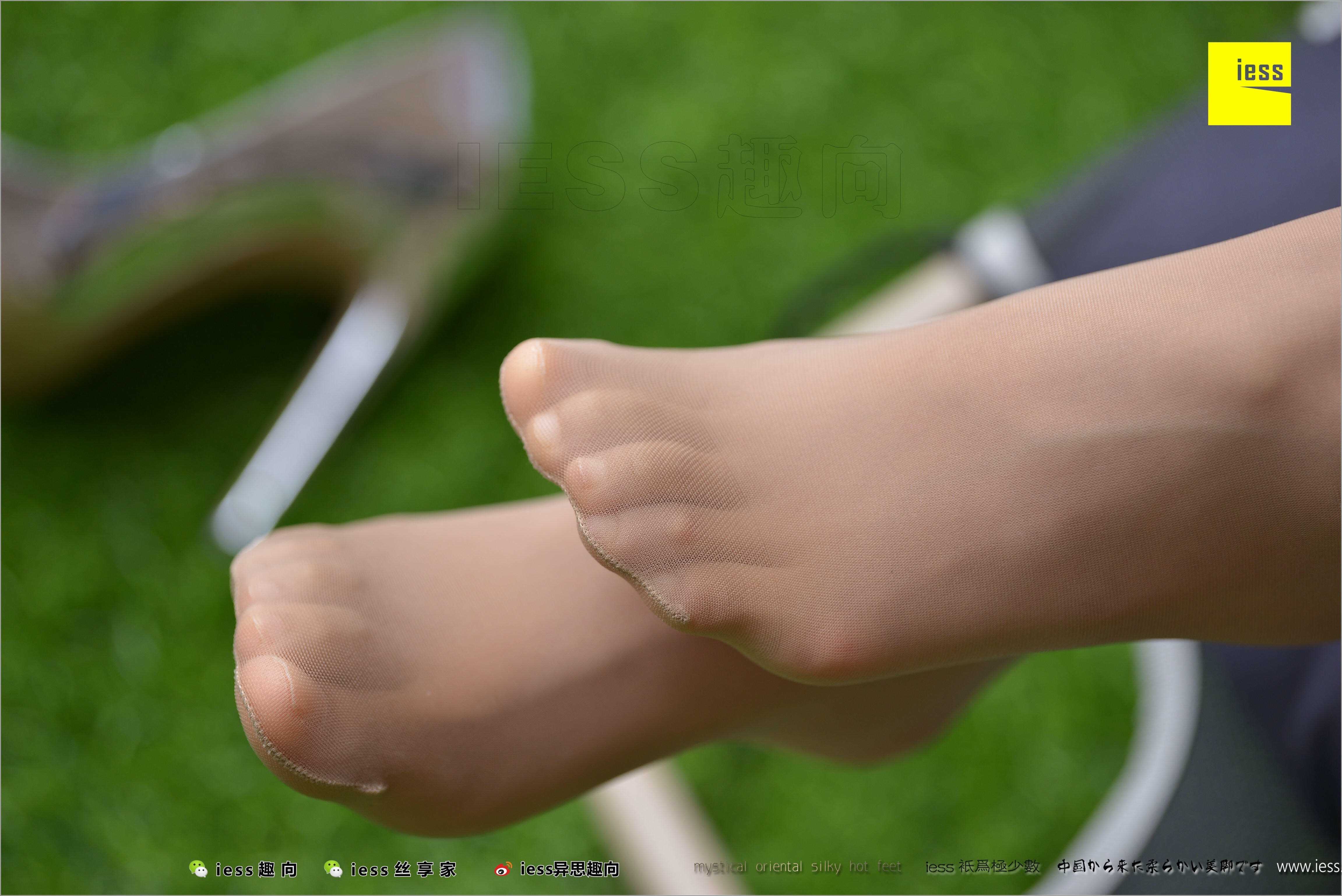 China Beauty Legs and feet 487