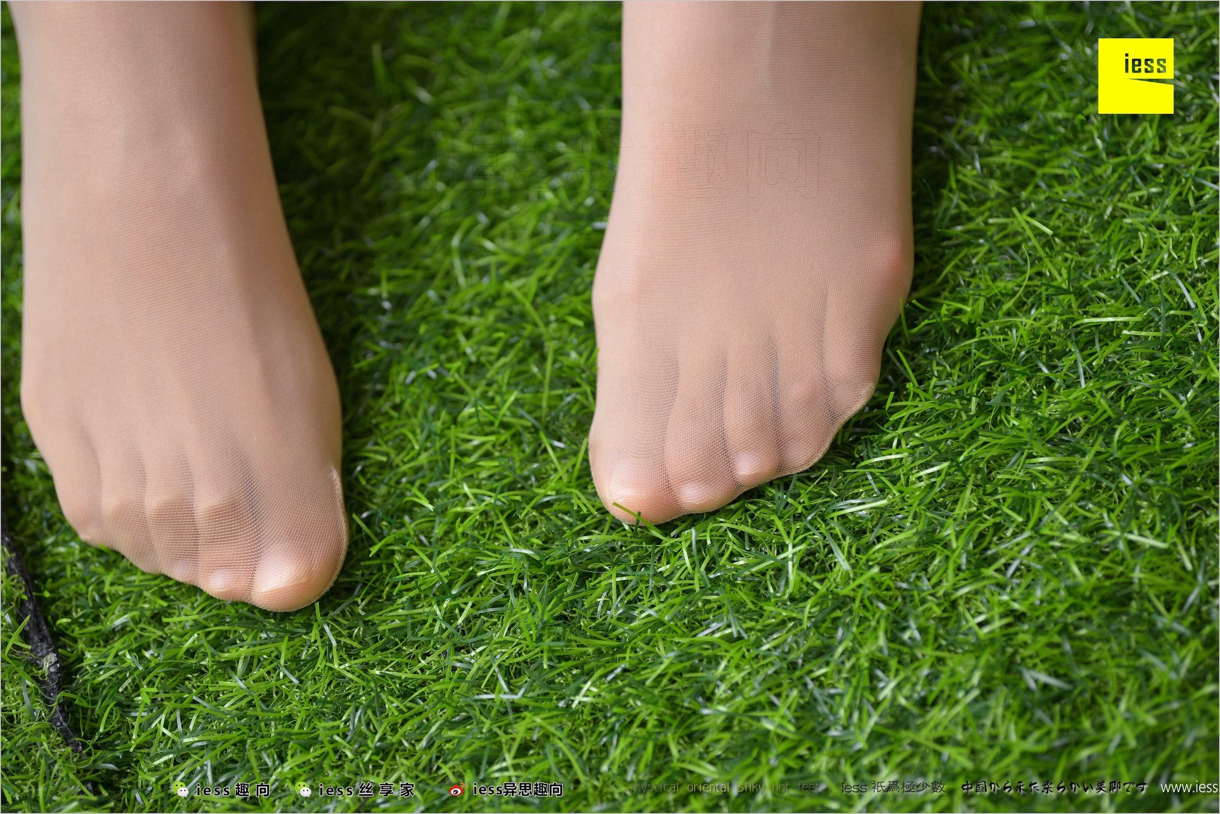 China Beauty Legs and feet 487