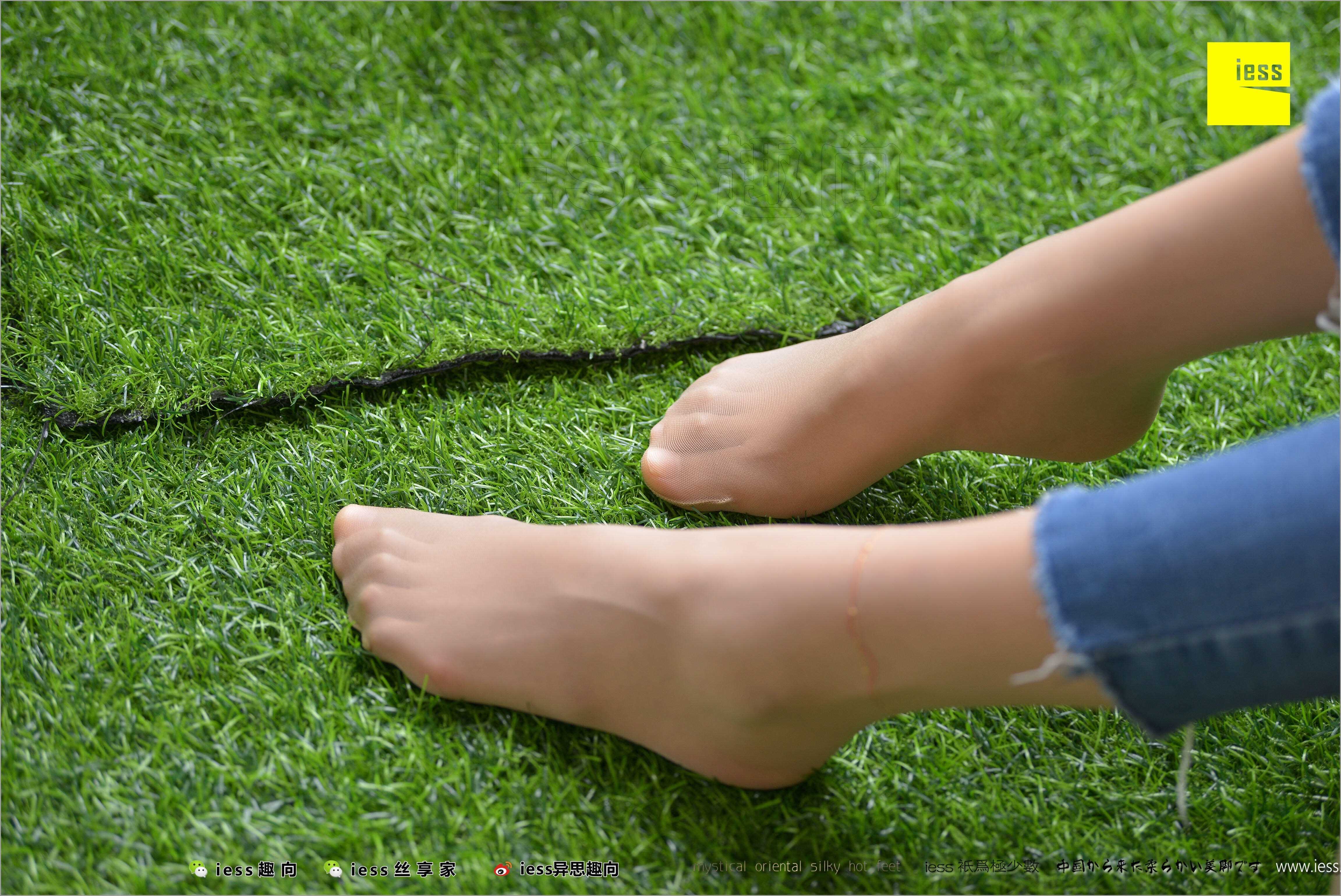 China Beauty Legs and feet 487