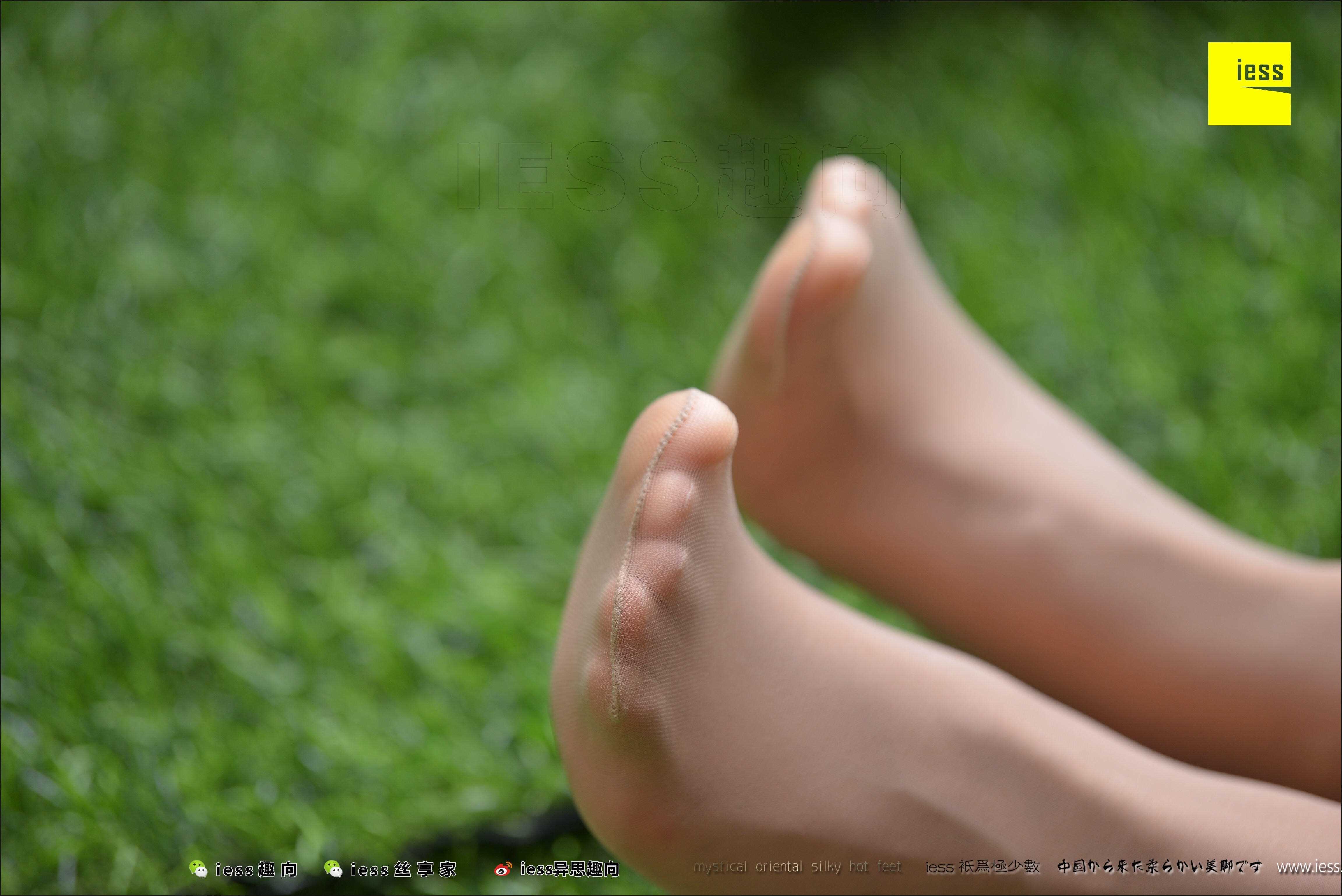 China Beauty Legs and feet 487