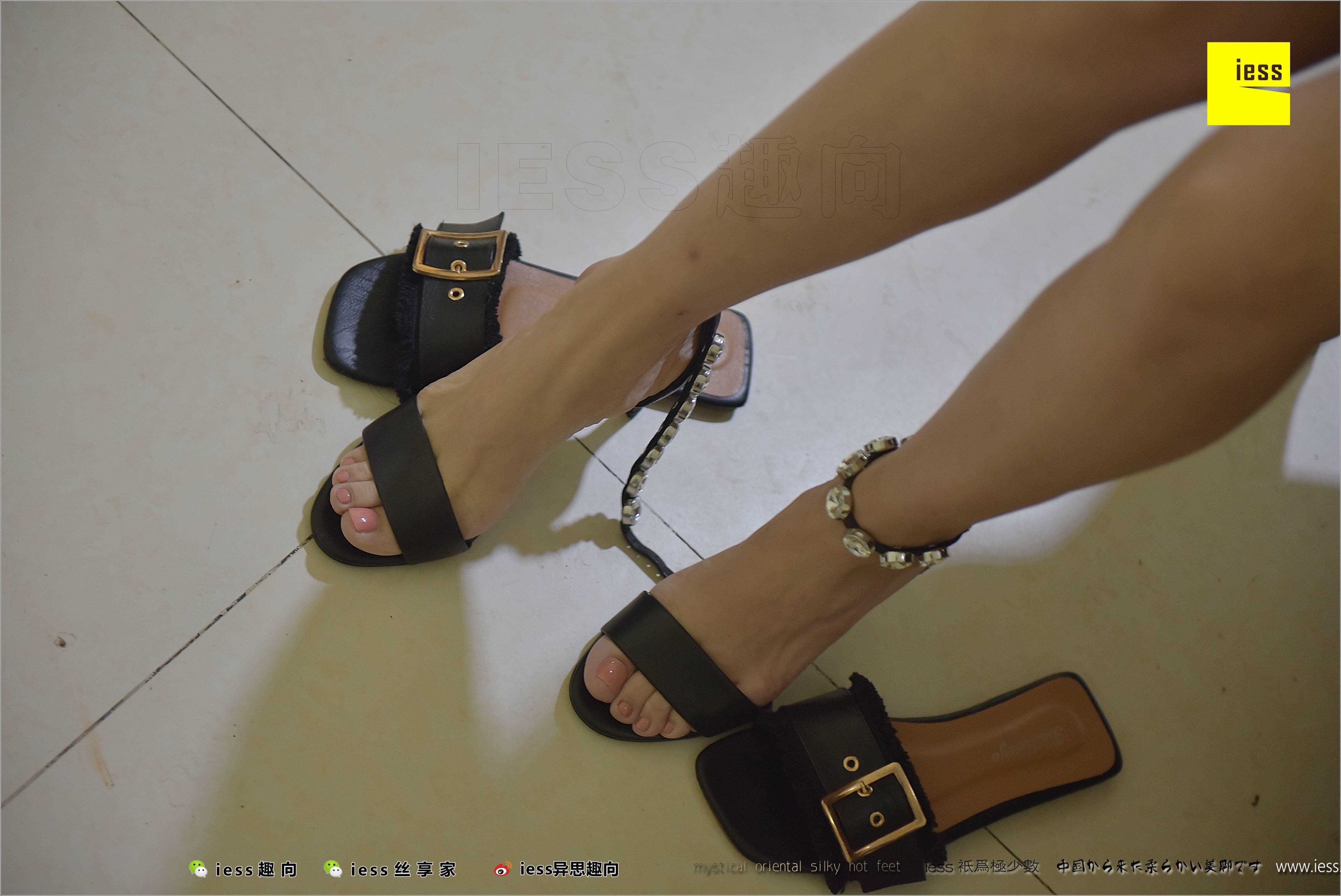 China Beauty Legs and feet 489