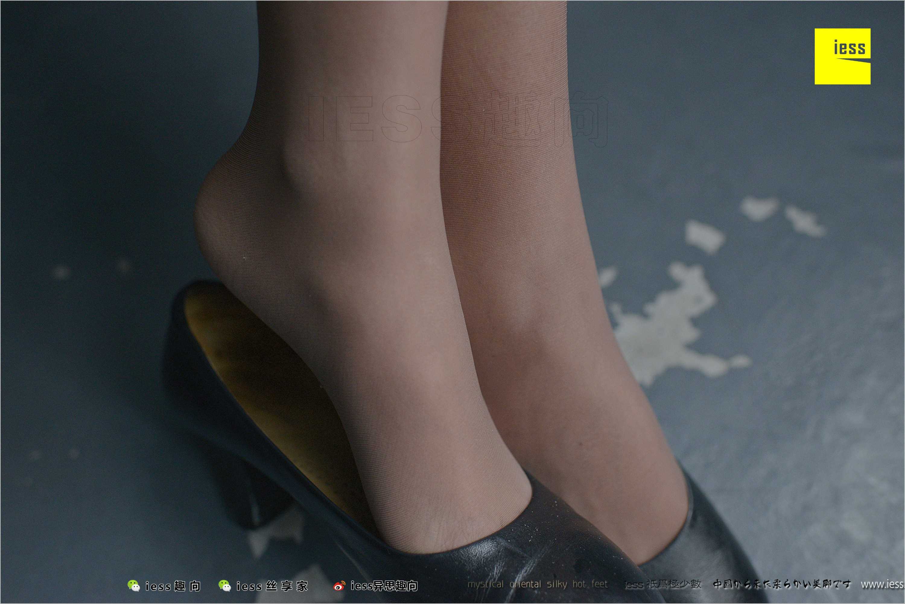 China Beauty Legs and feet 490