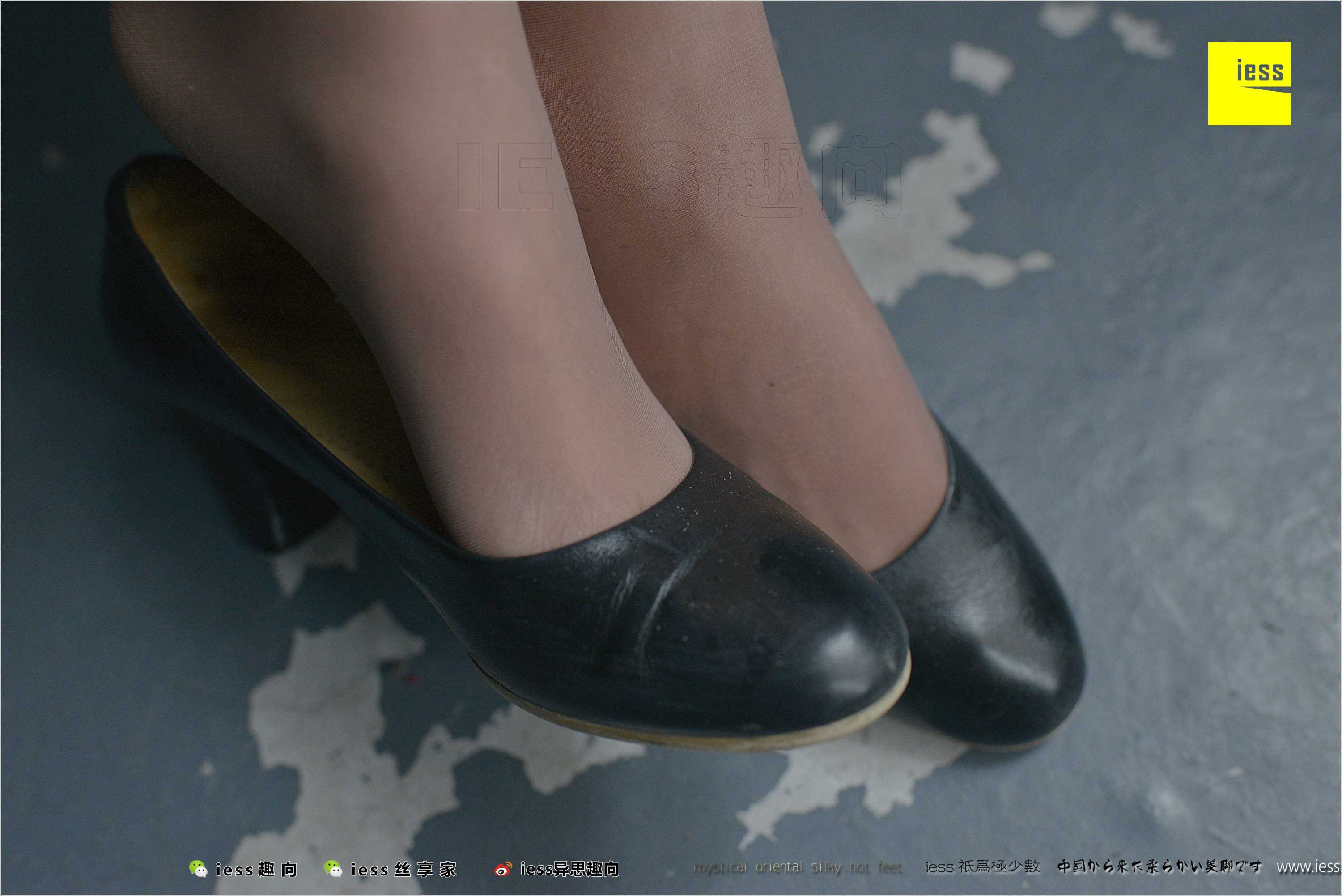 China Beauty Legs and feet 490