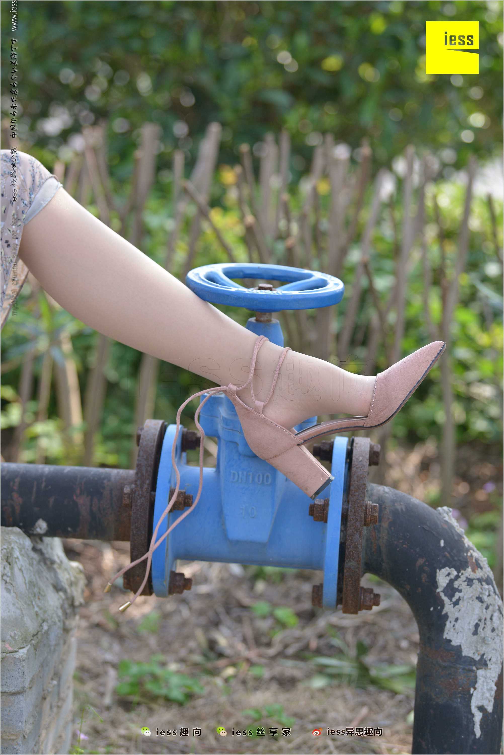 China Beauty Legs and feet 493