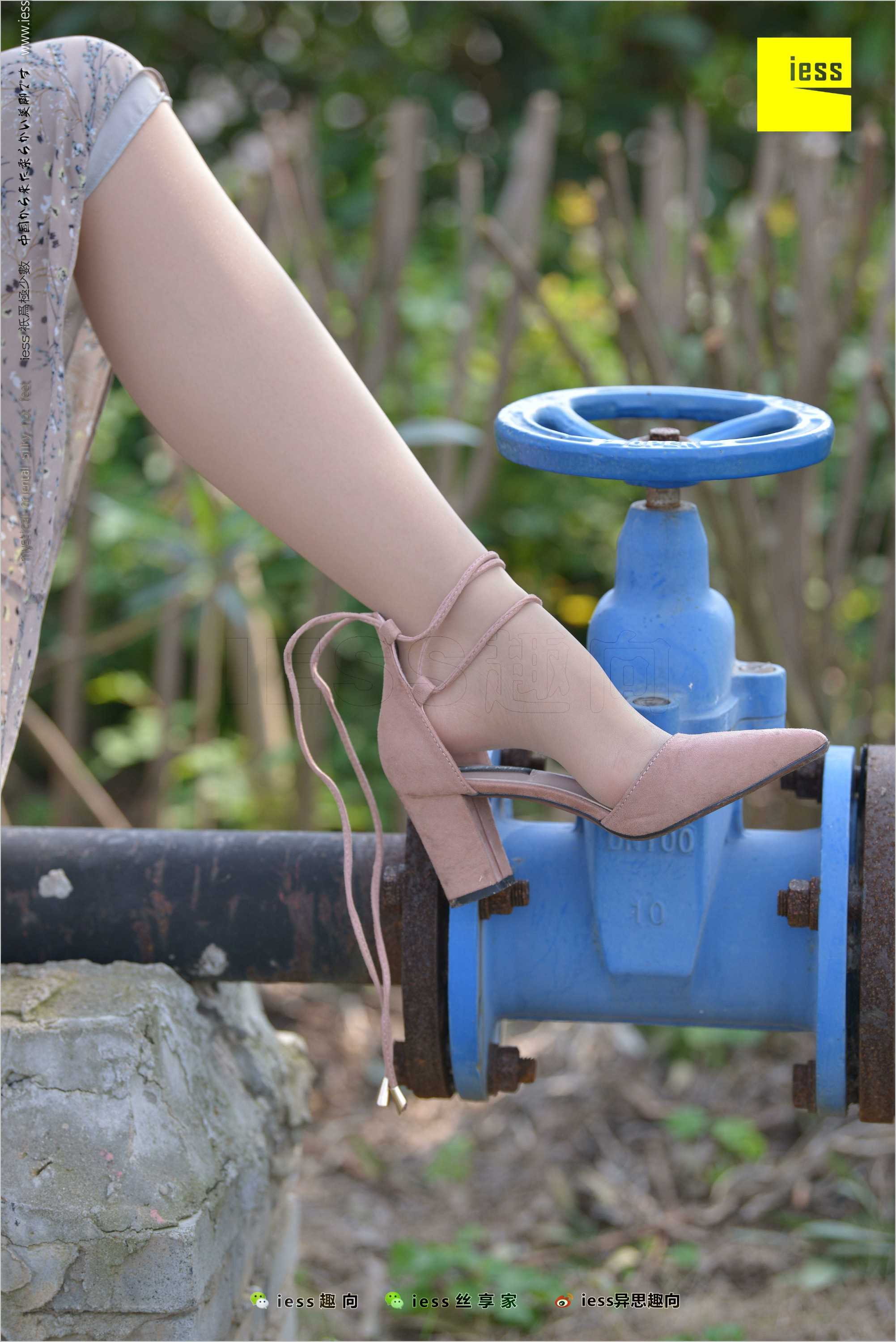 China Beauty Legs and feet 493