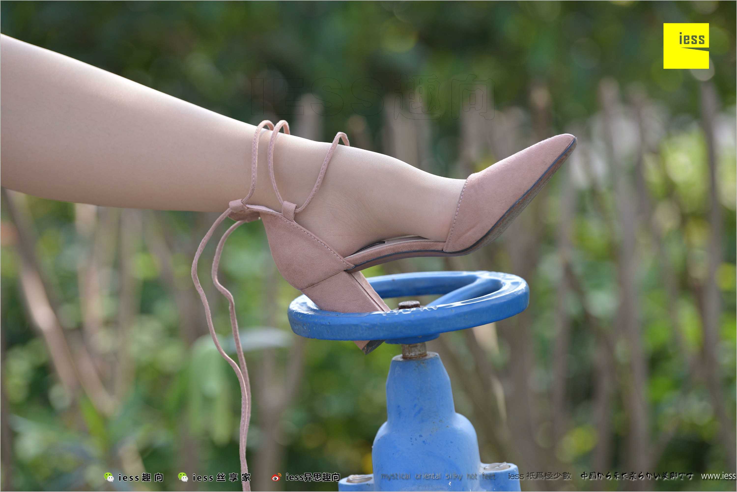 China Beauty Legs and feet 493