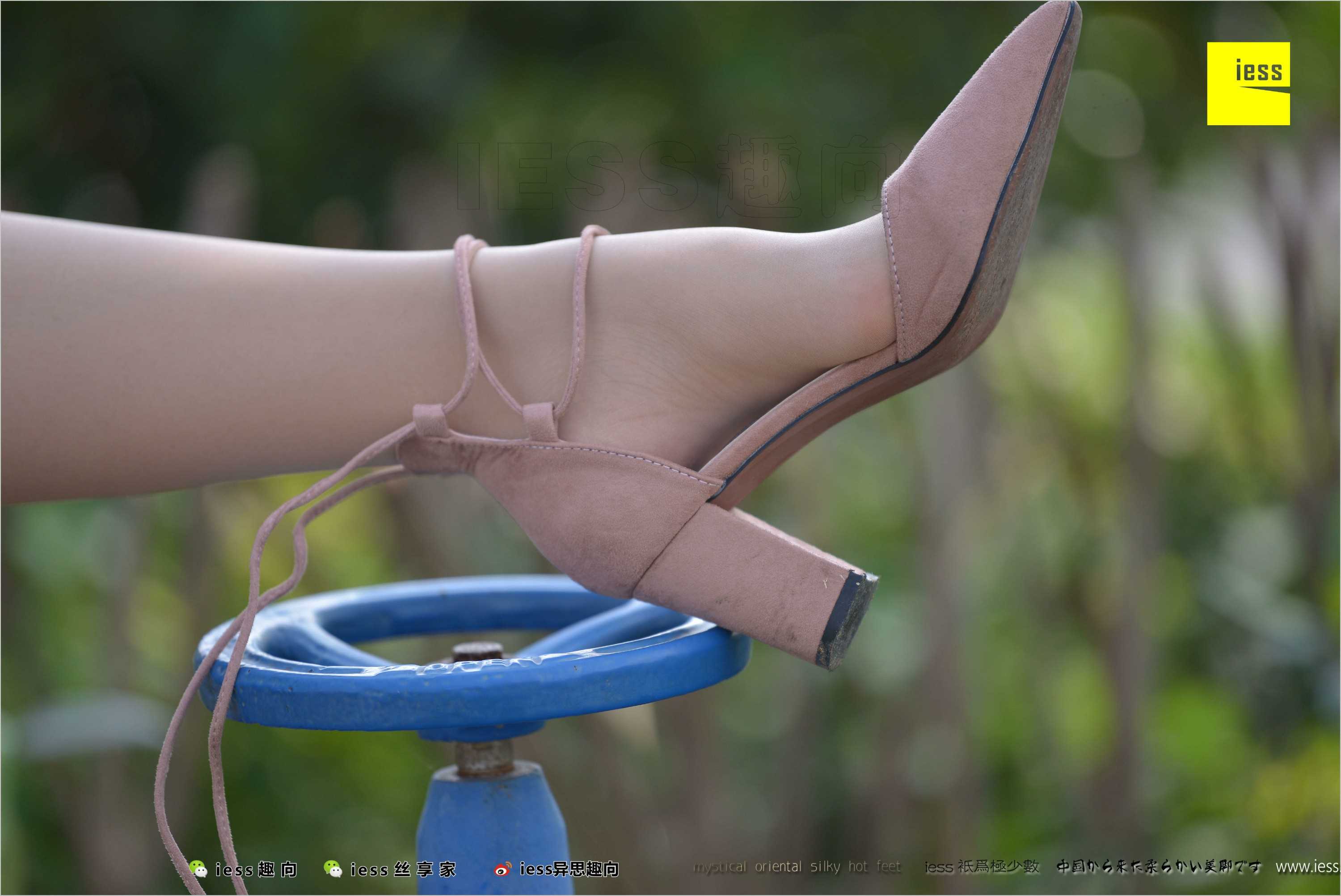 China Beauty Legs and feet 493