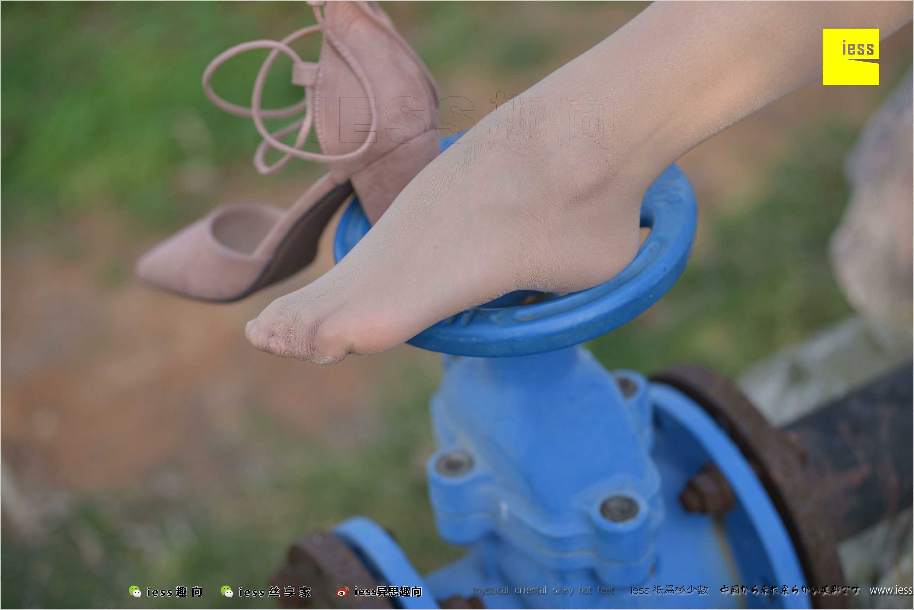 China Beauty Legs and feet 493