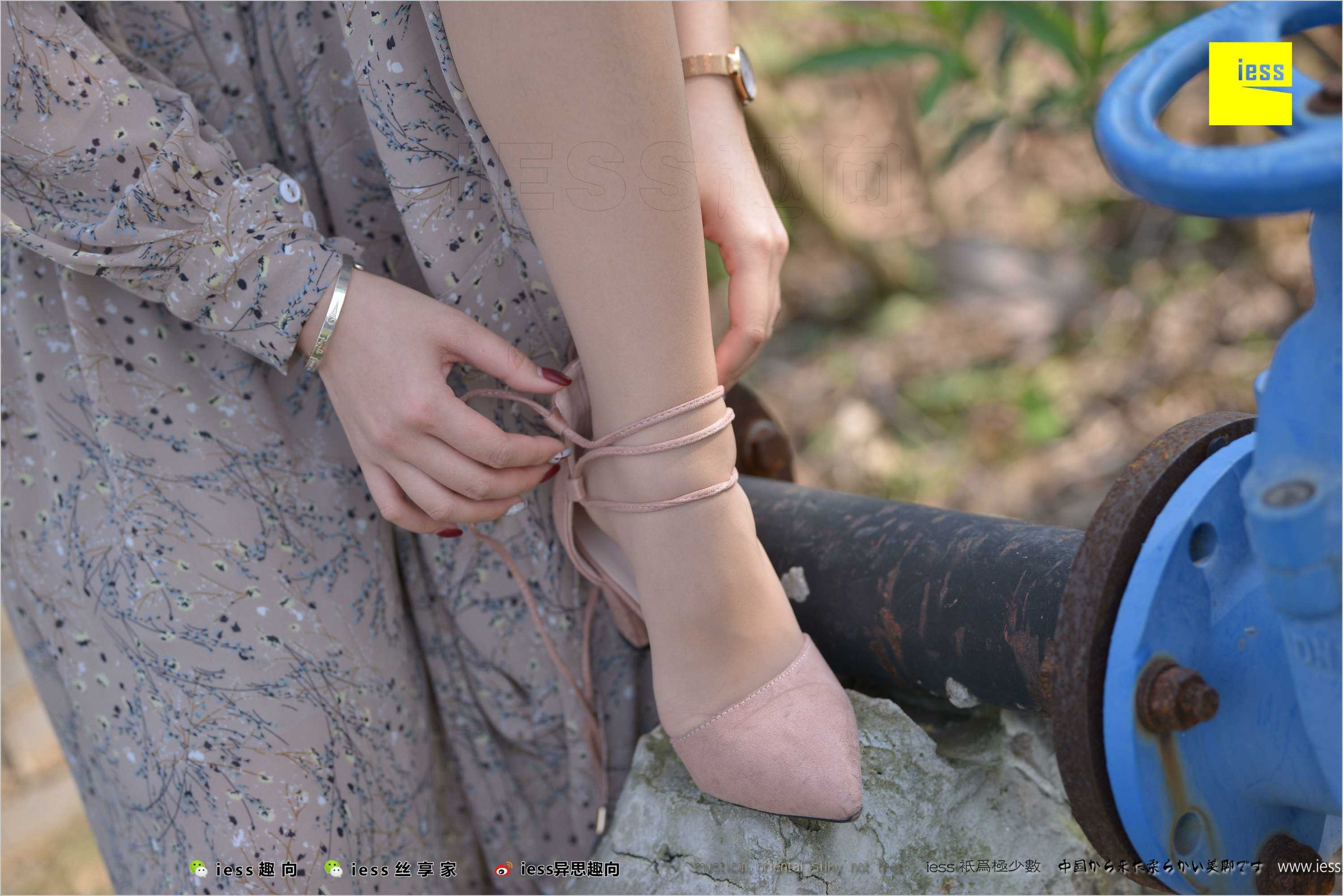 China Beauty Legs and feet 493