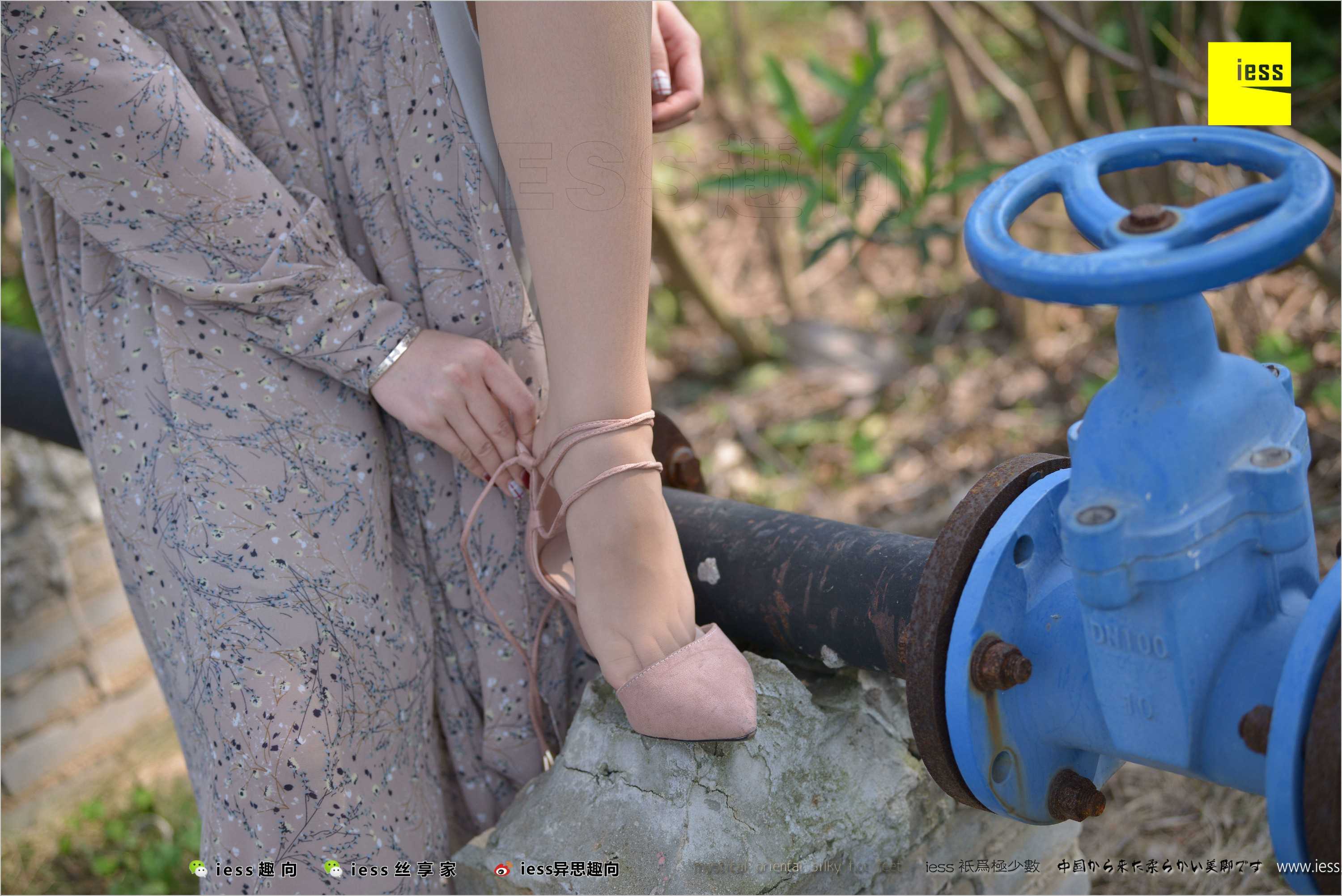 China Beauty Legs and feet 493