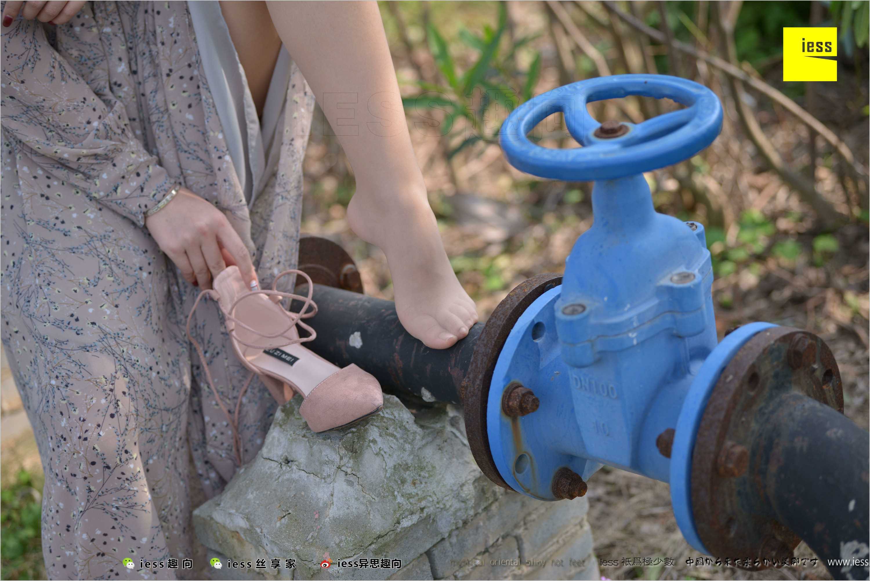 China Beauty Legs and feet 493