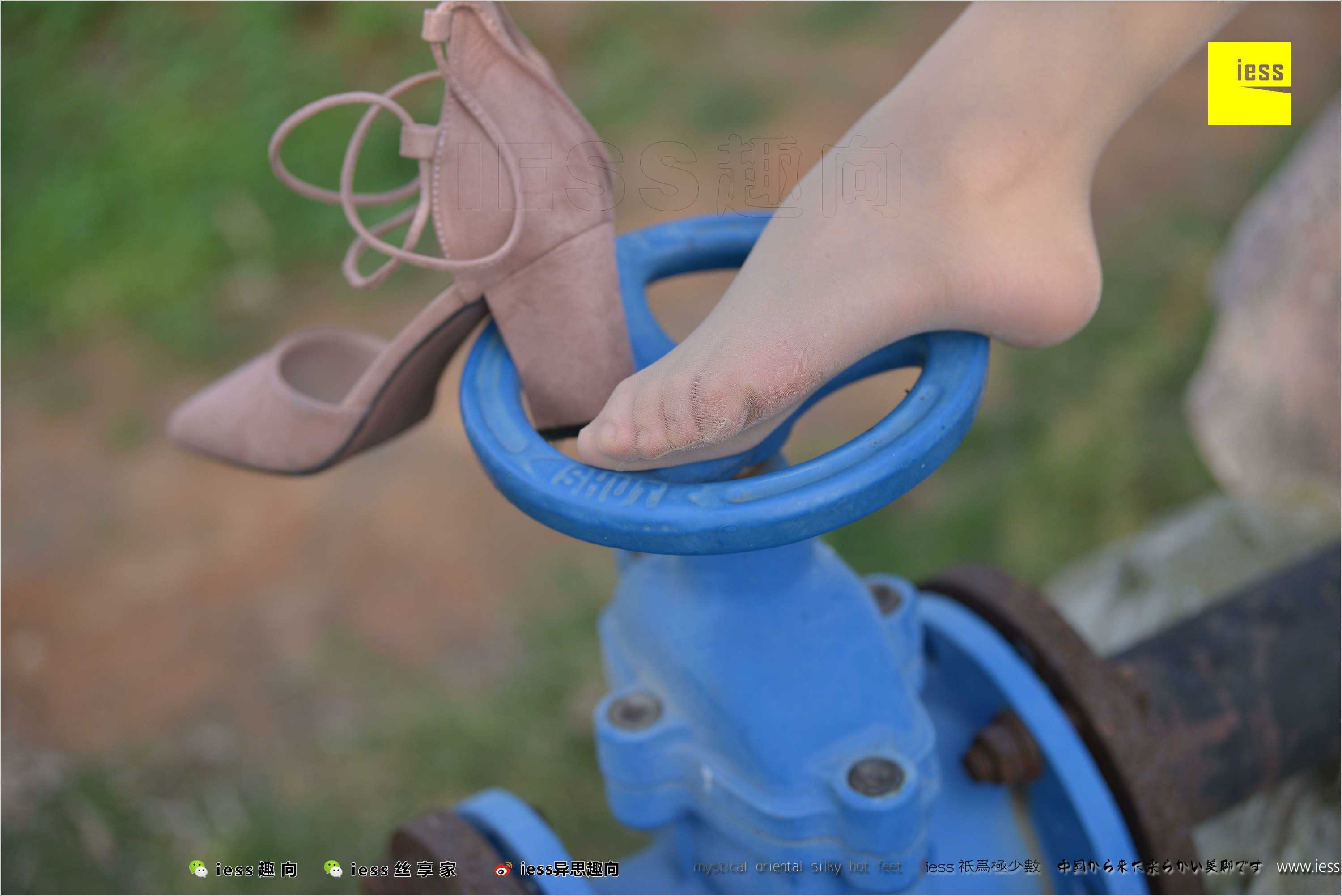 China Beauty Legs and feet 493