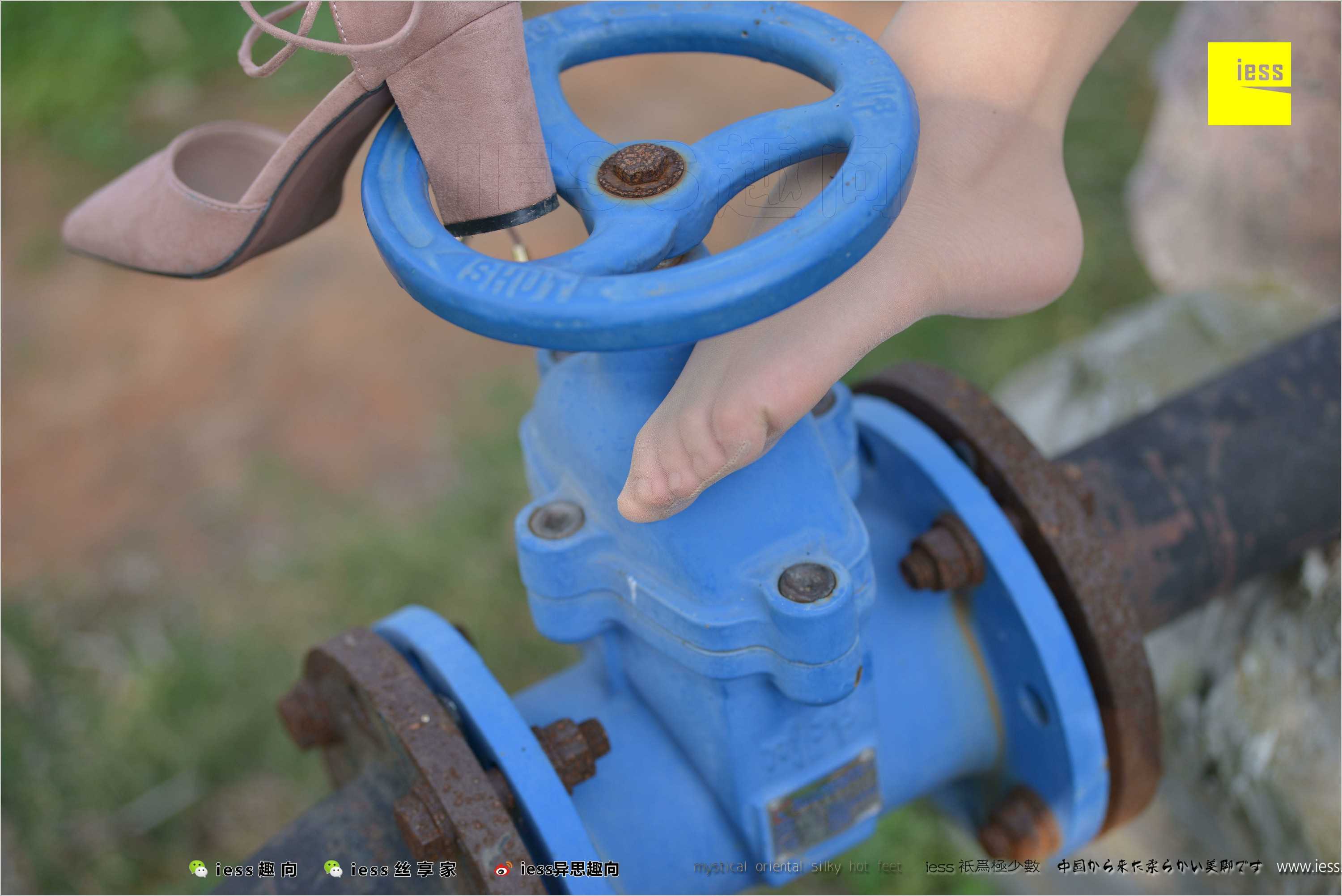 China Beauty Legs and feet 493