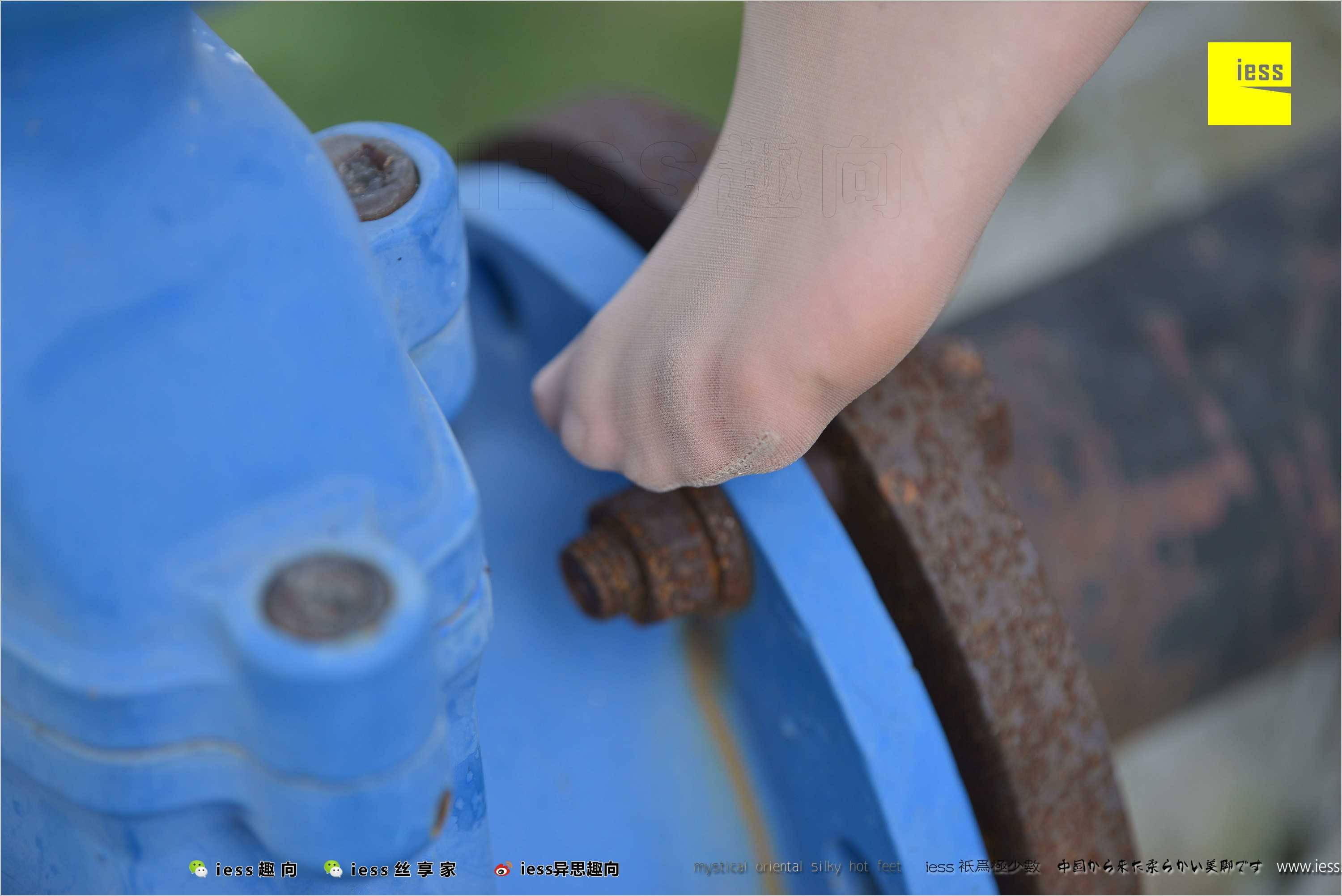 China Beauty Legs and feet 493