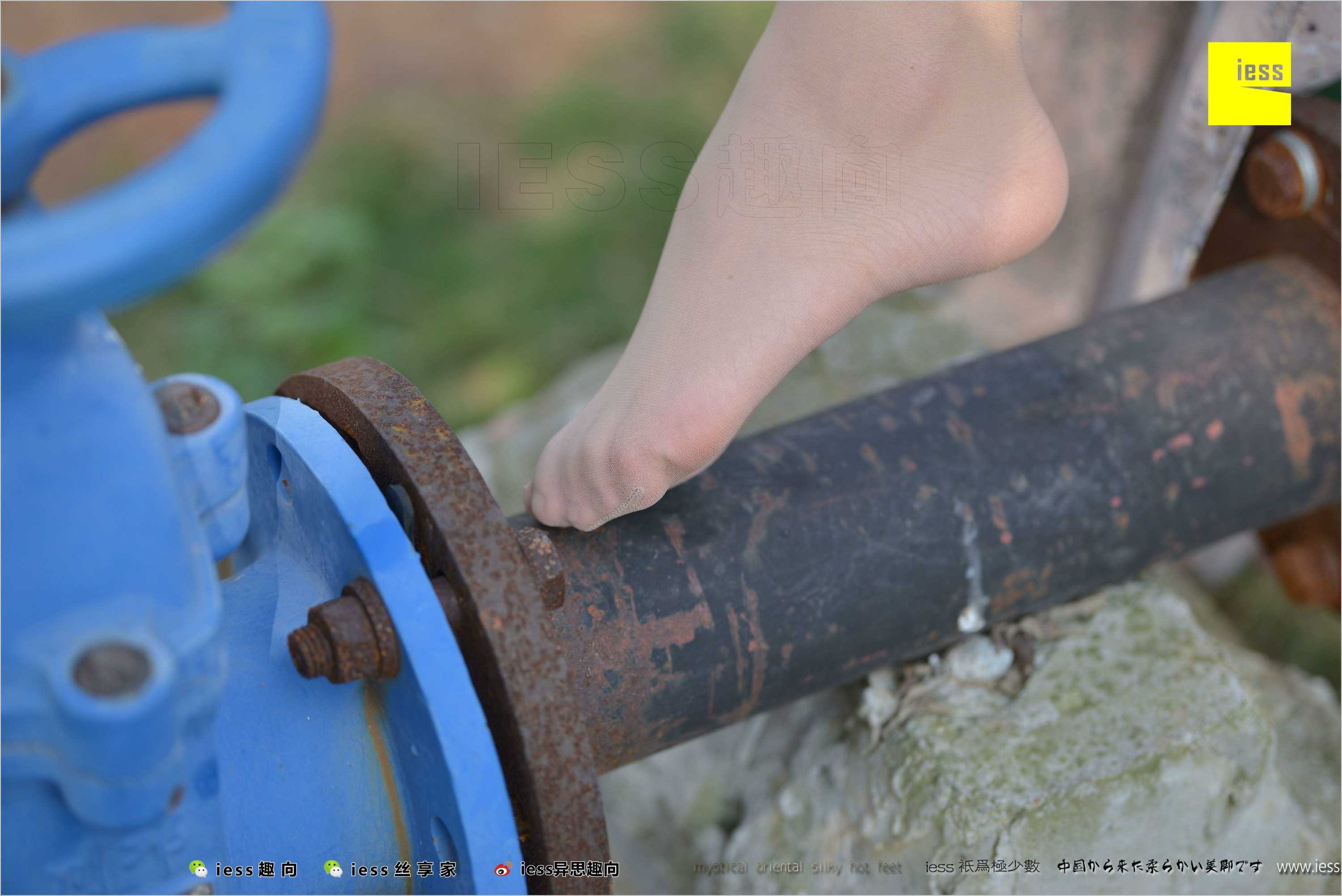 China Beauty Legs and feet 493