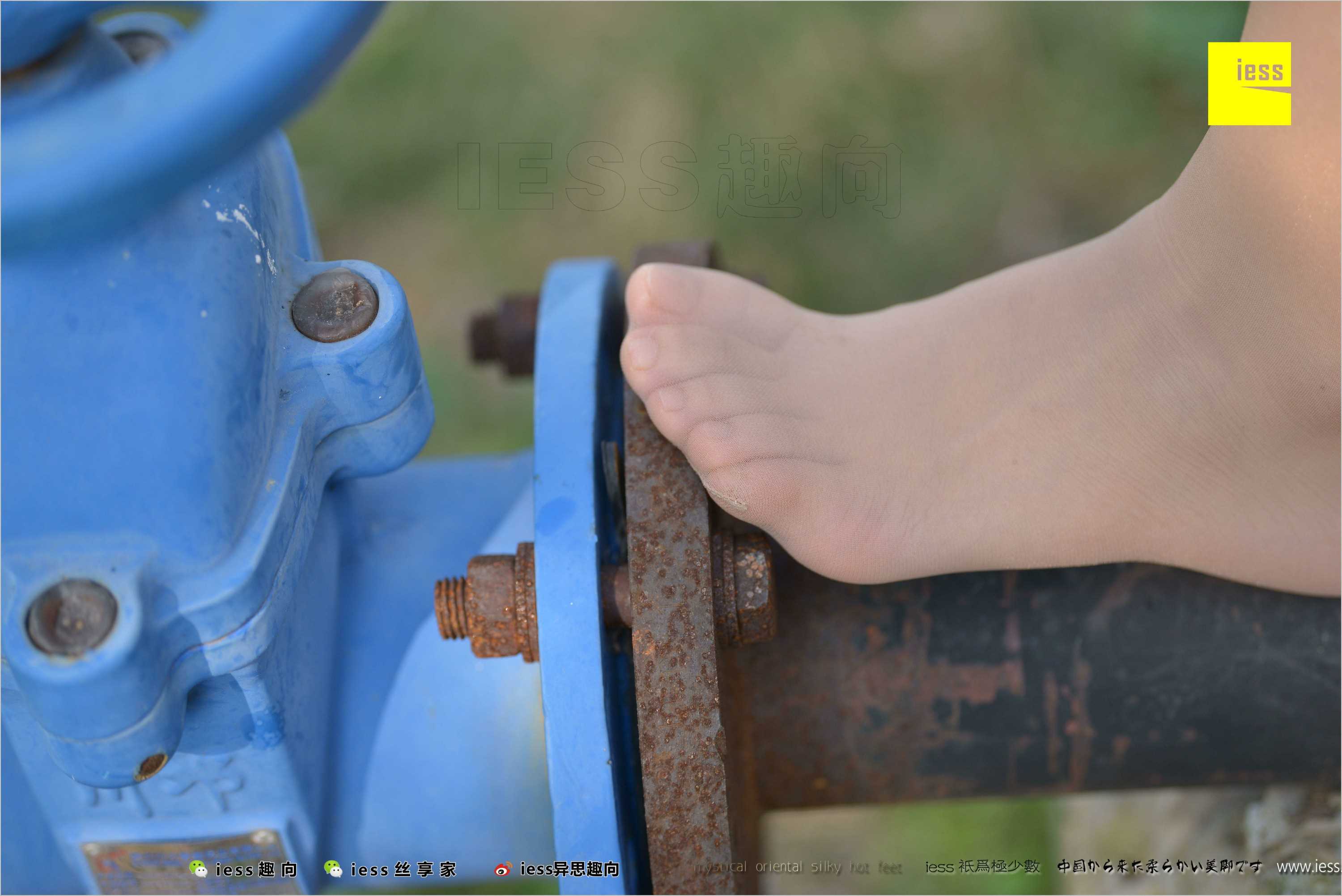 China Beauty Legs and feet 493