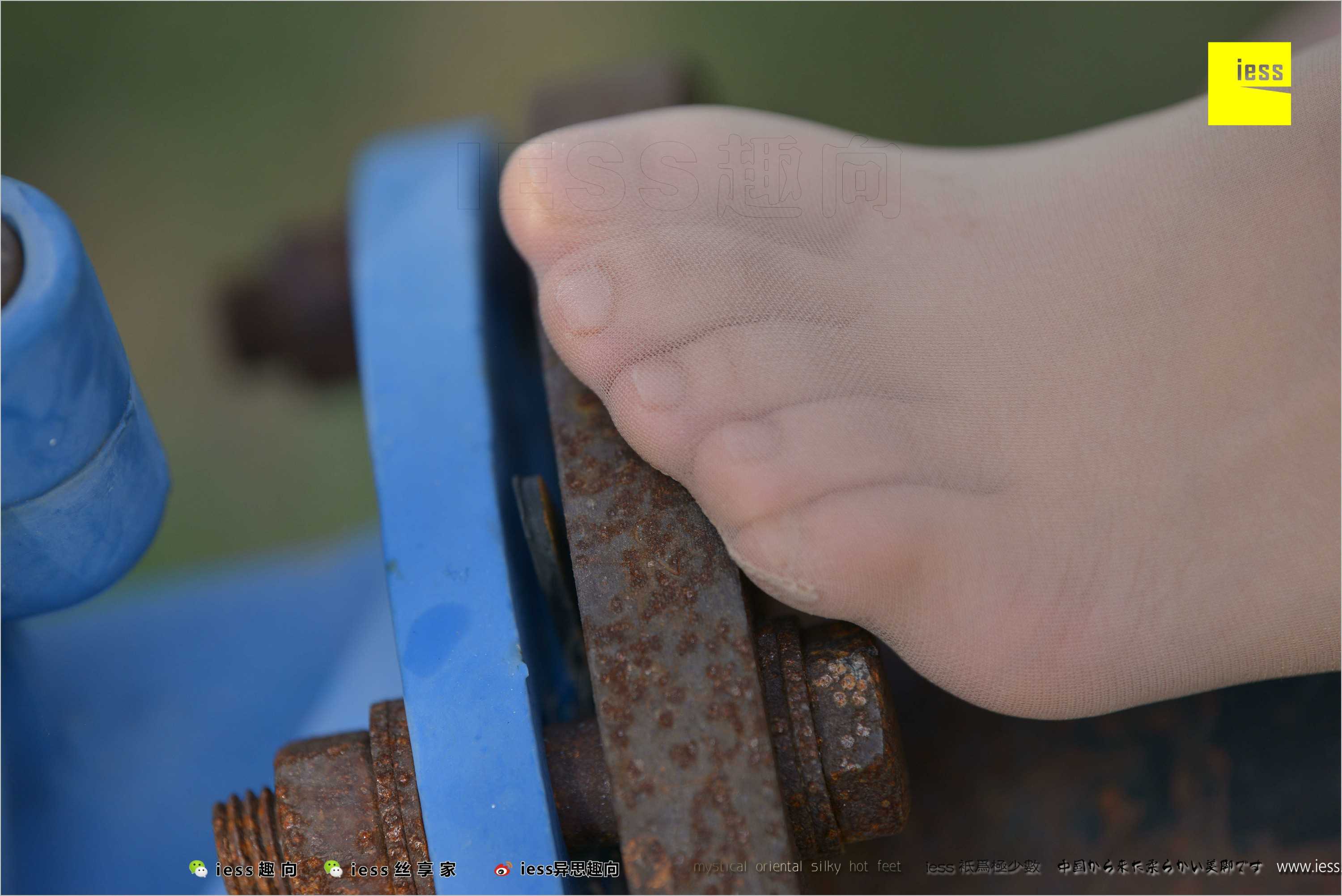 China Beauty Legs and feet 493