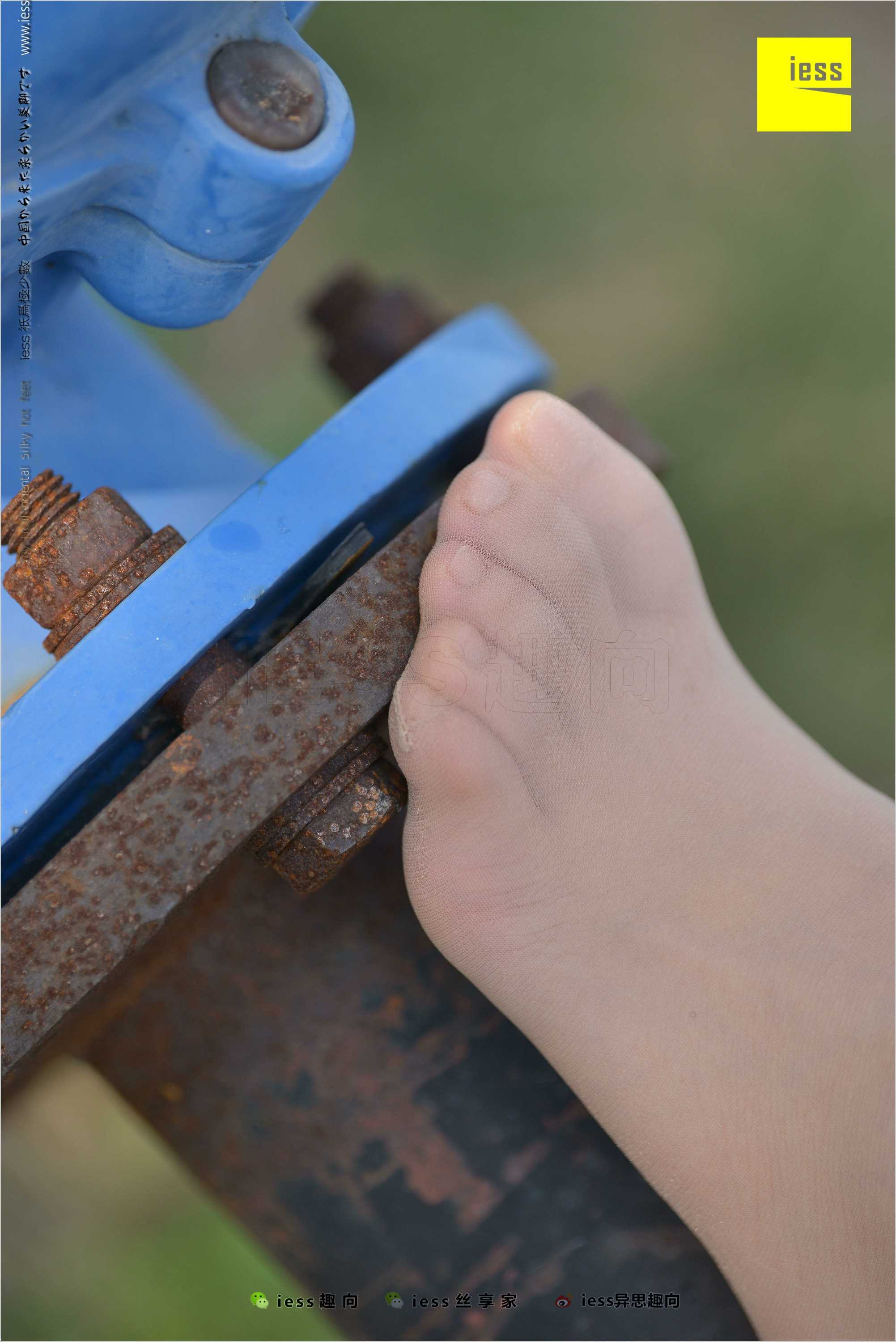 China Beauty Legs and feet 493