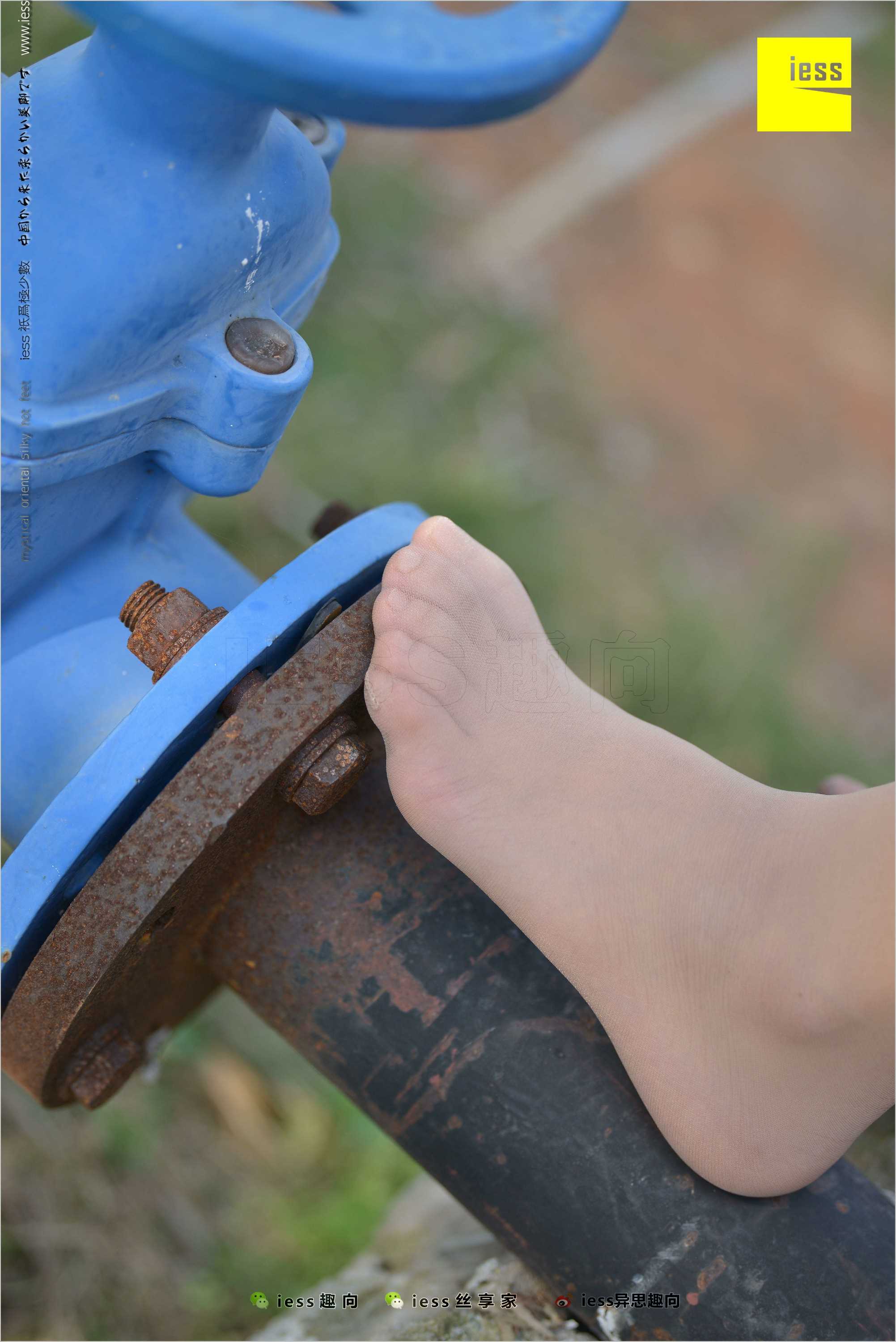 China Beauty Legs and feet 493